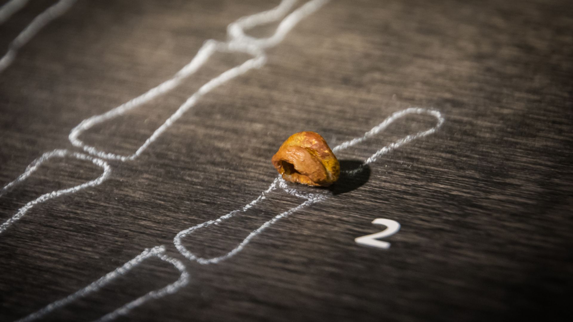 15. L'os du doigt de Denisova