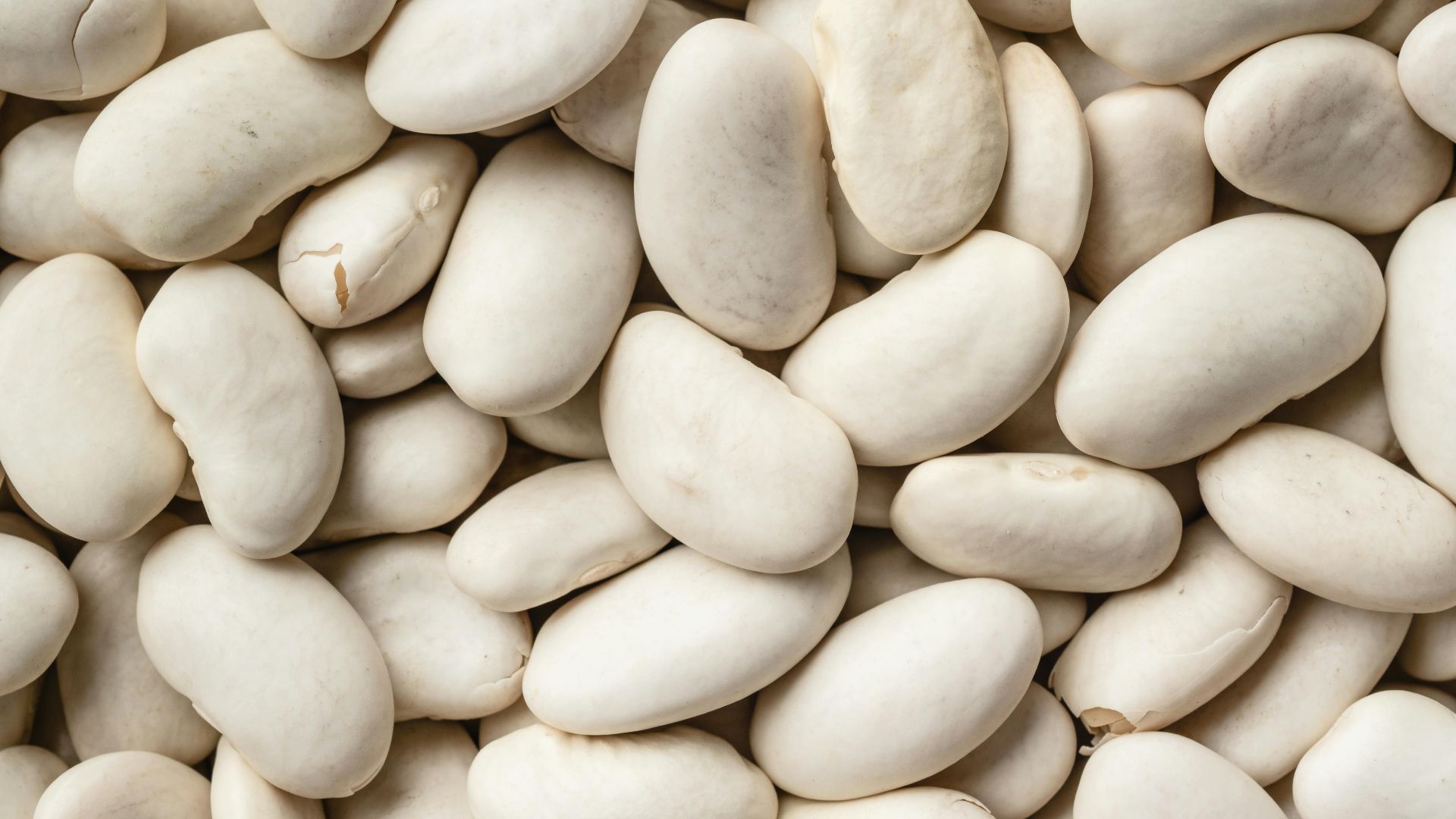 11. Haricots blancs