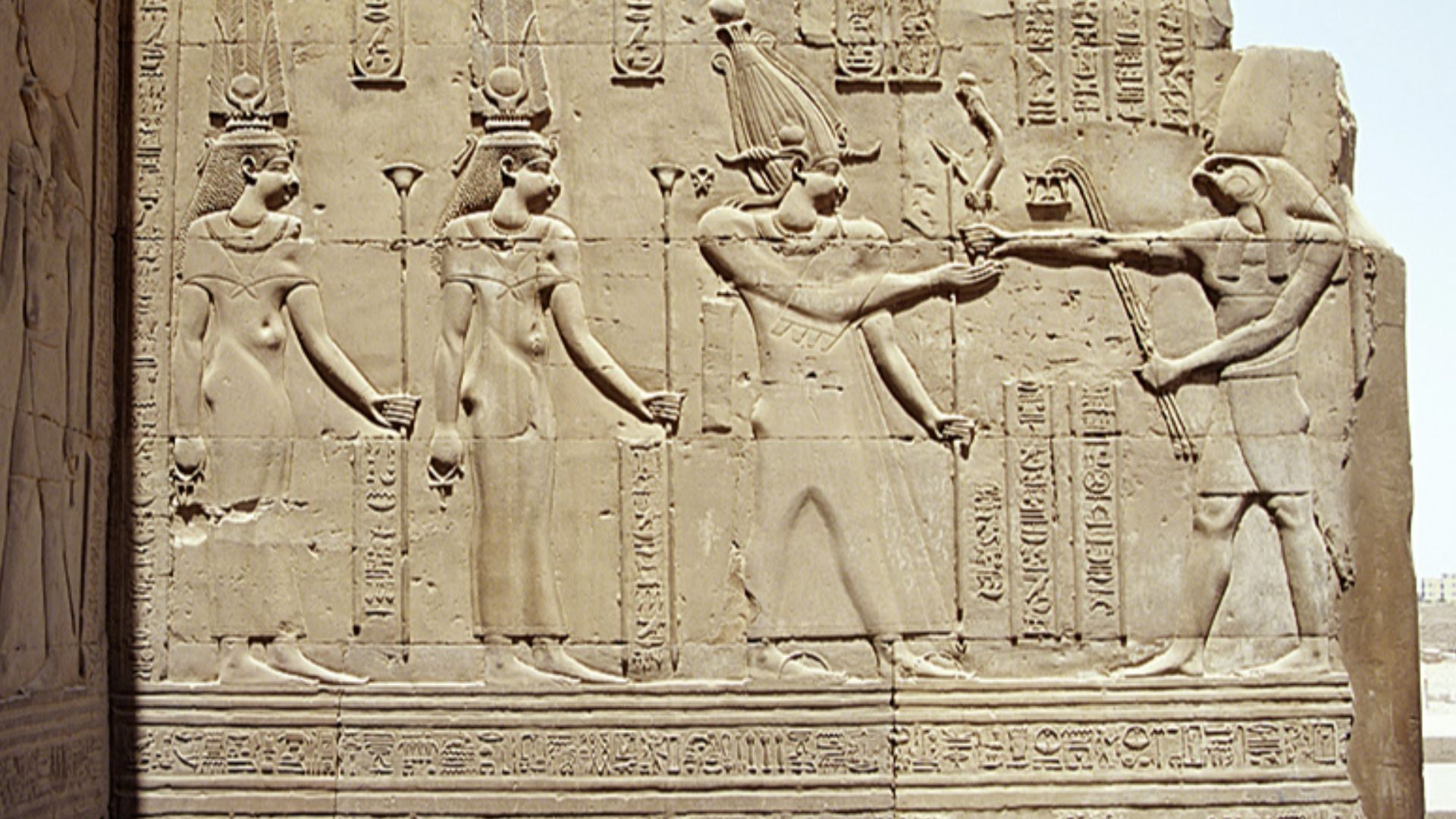 18. Ptolémée VIII et Cléopâtre II