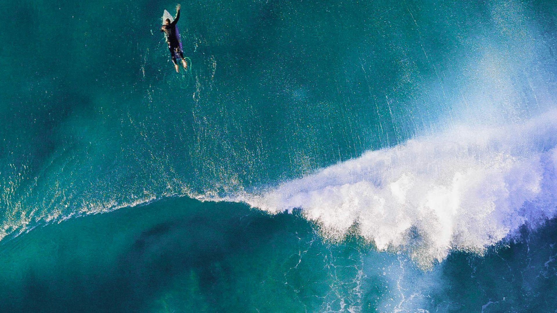 15. Le retour de Bethany Hamilton au surf