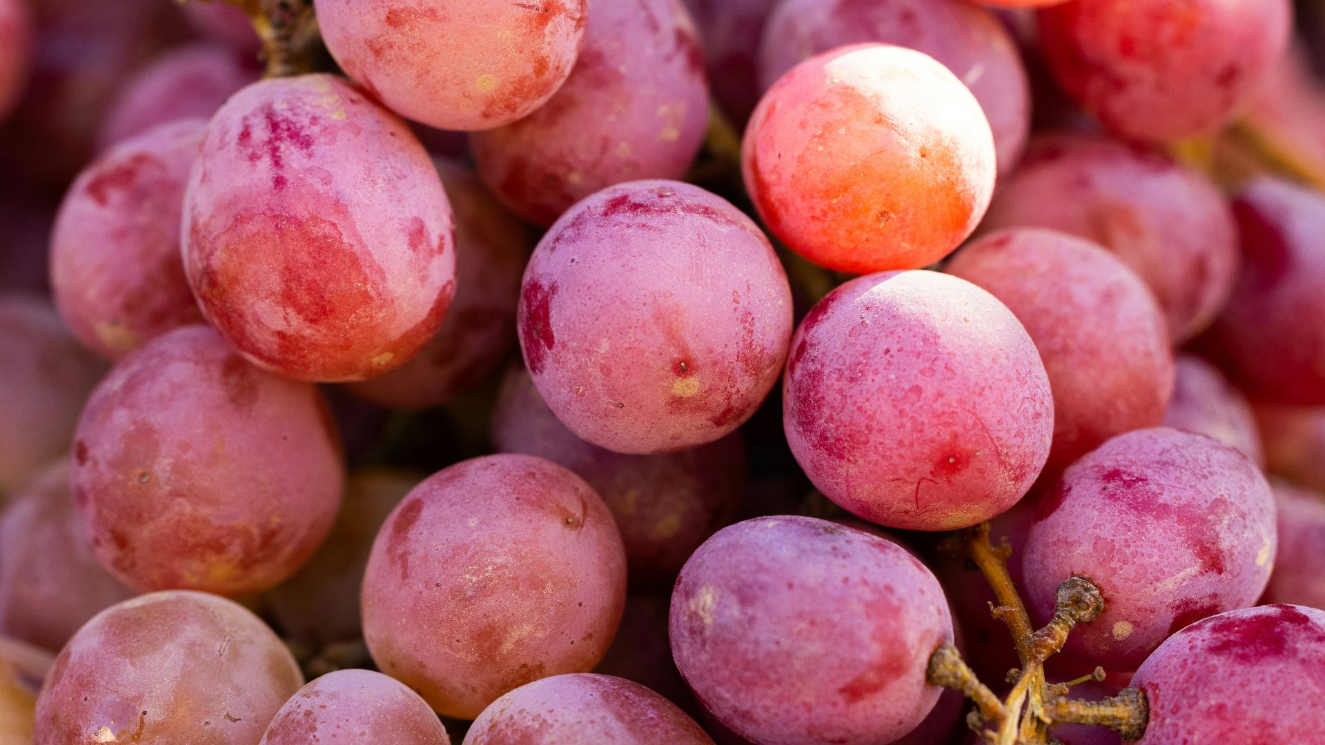 4. Des raisins rouges pour une douceur naturelle