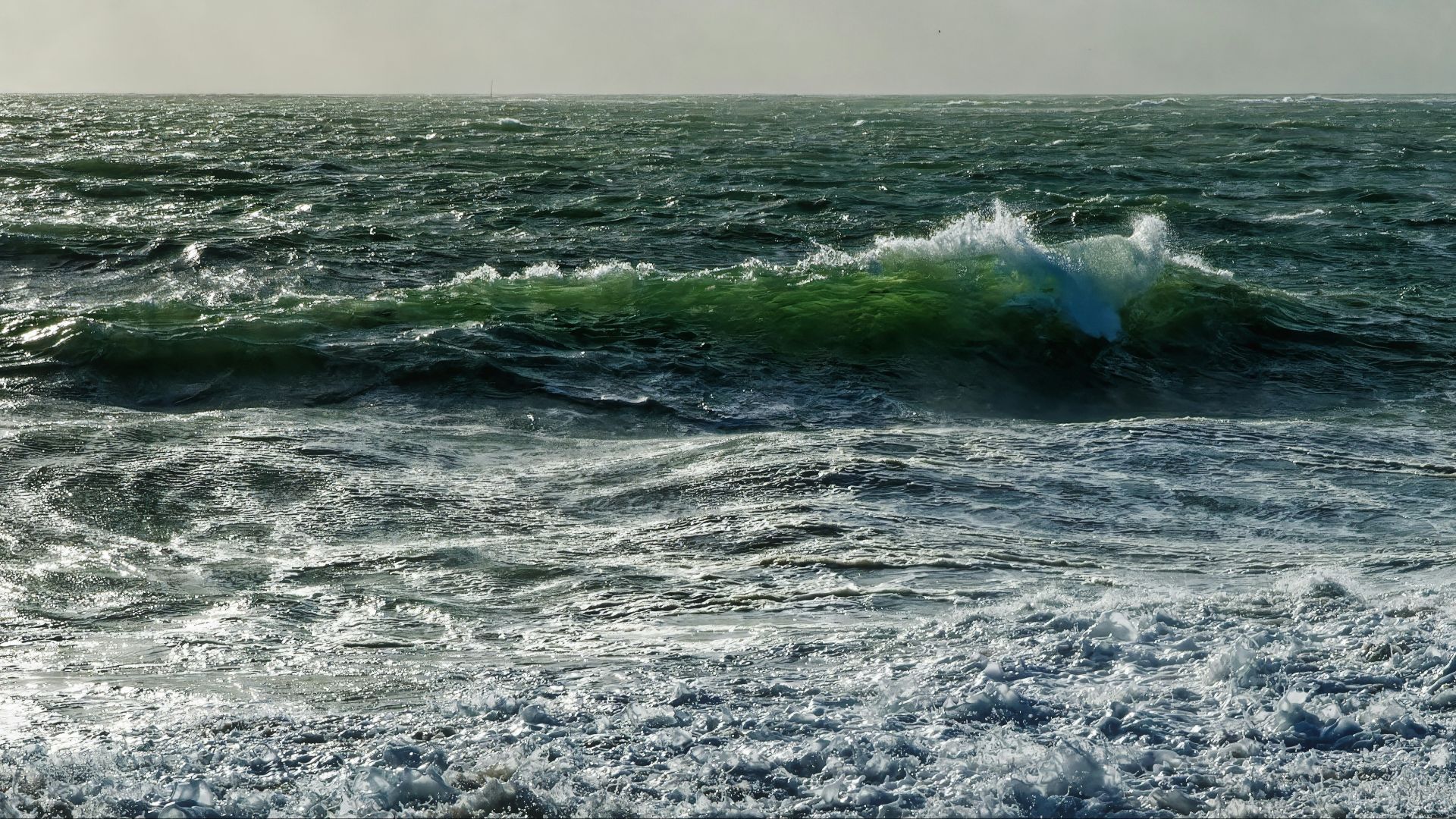 3. Les alizés et les courants océaniques