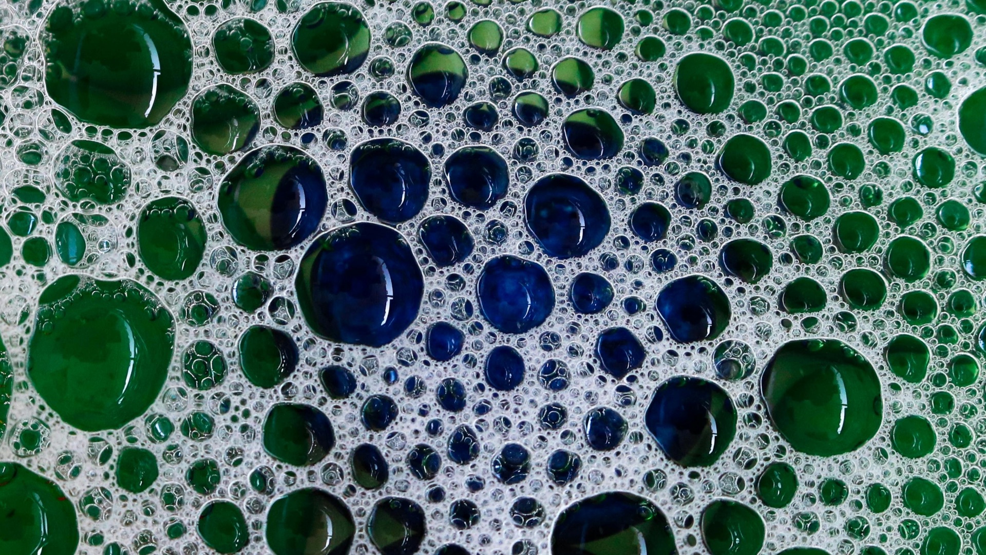 4. Changez l'eau lorsqu'elle ne fonctionne plus