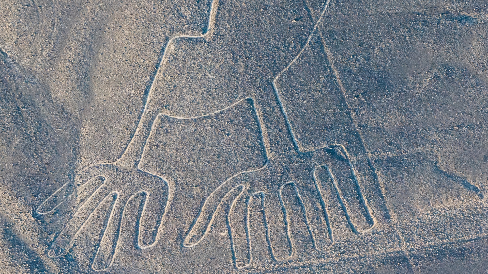 18. Des centaines de géoglyphes cachés de Nazca ont été identifiés