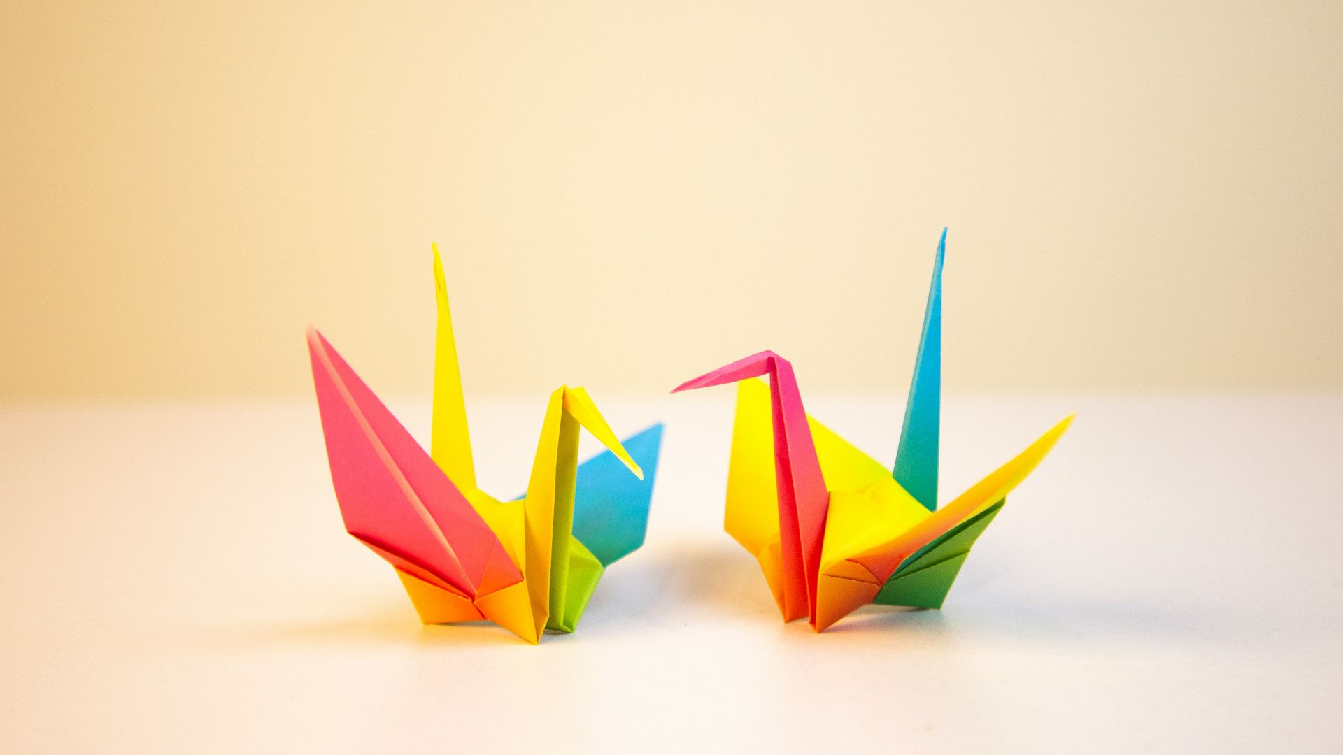 19. Clubs d'origami