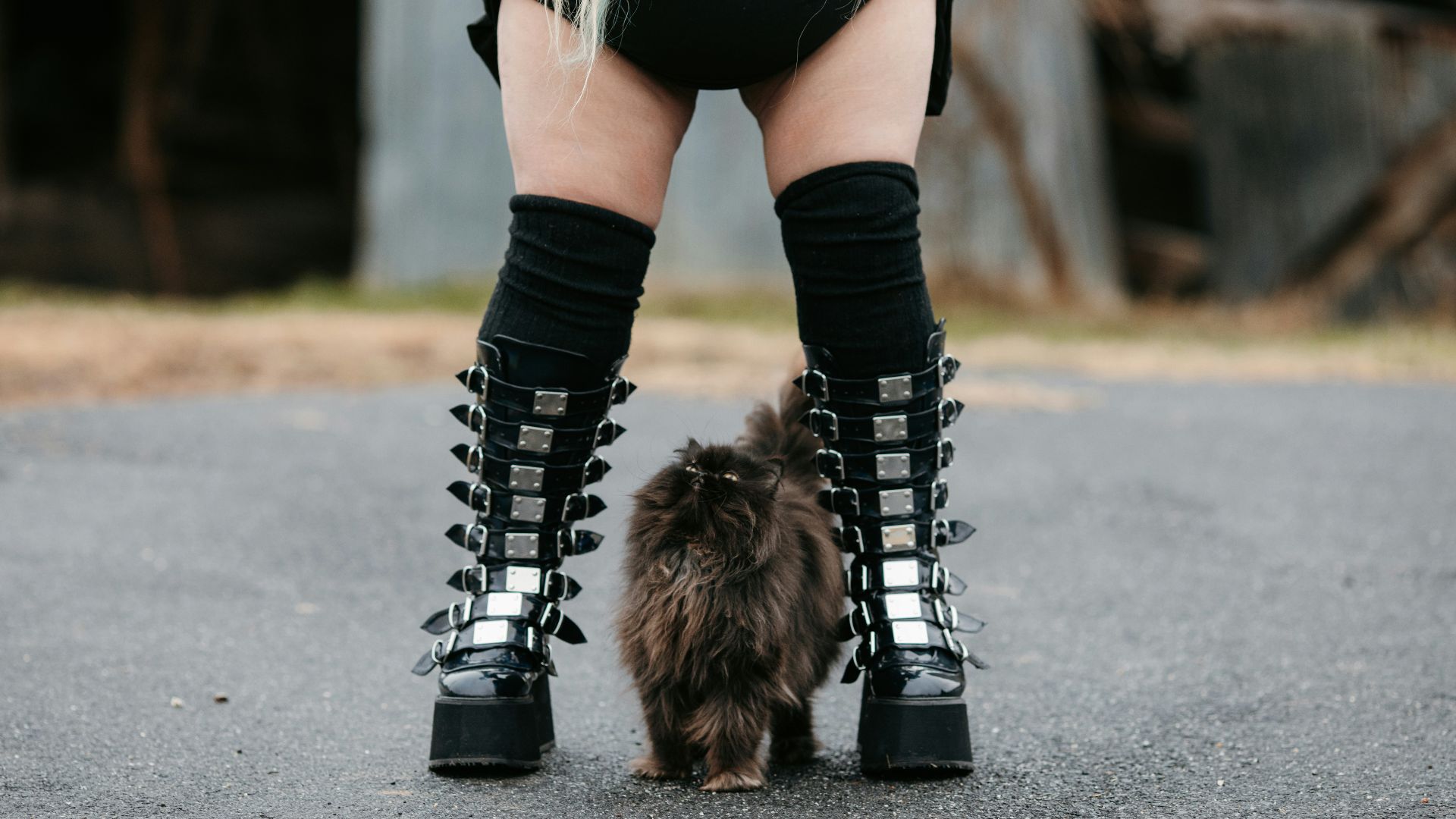 5. Bottes cuissardes