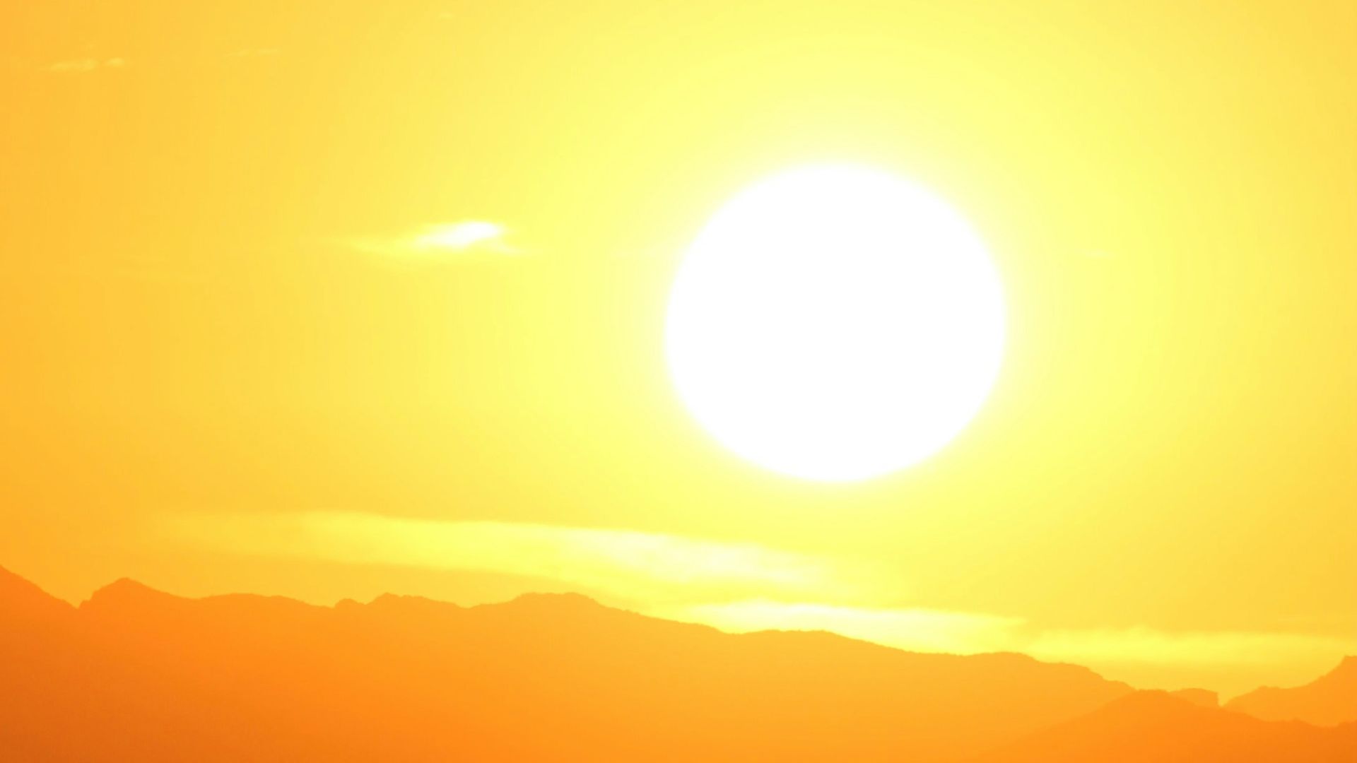 1. Faites le plein de vitamine D