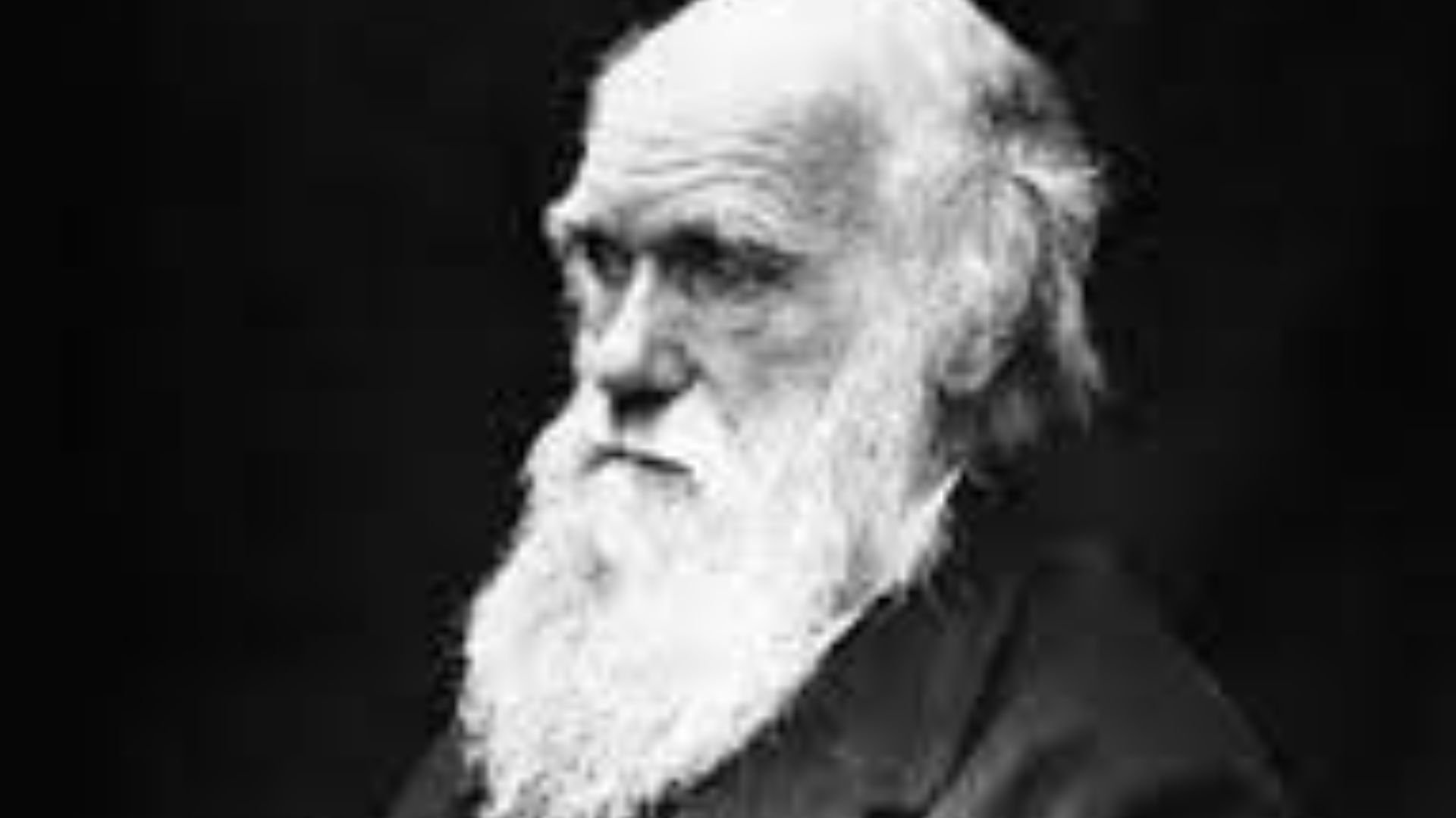 8. Charles Darwin