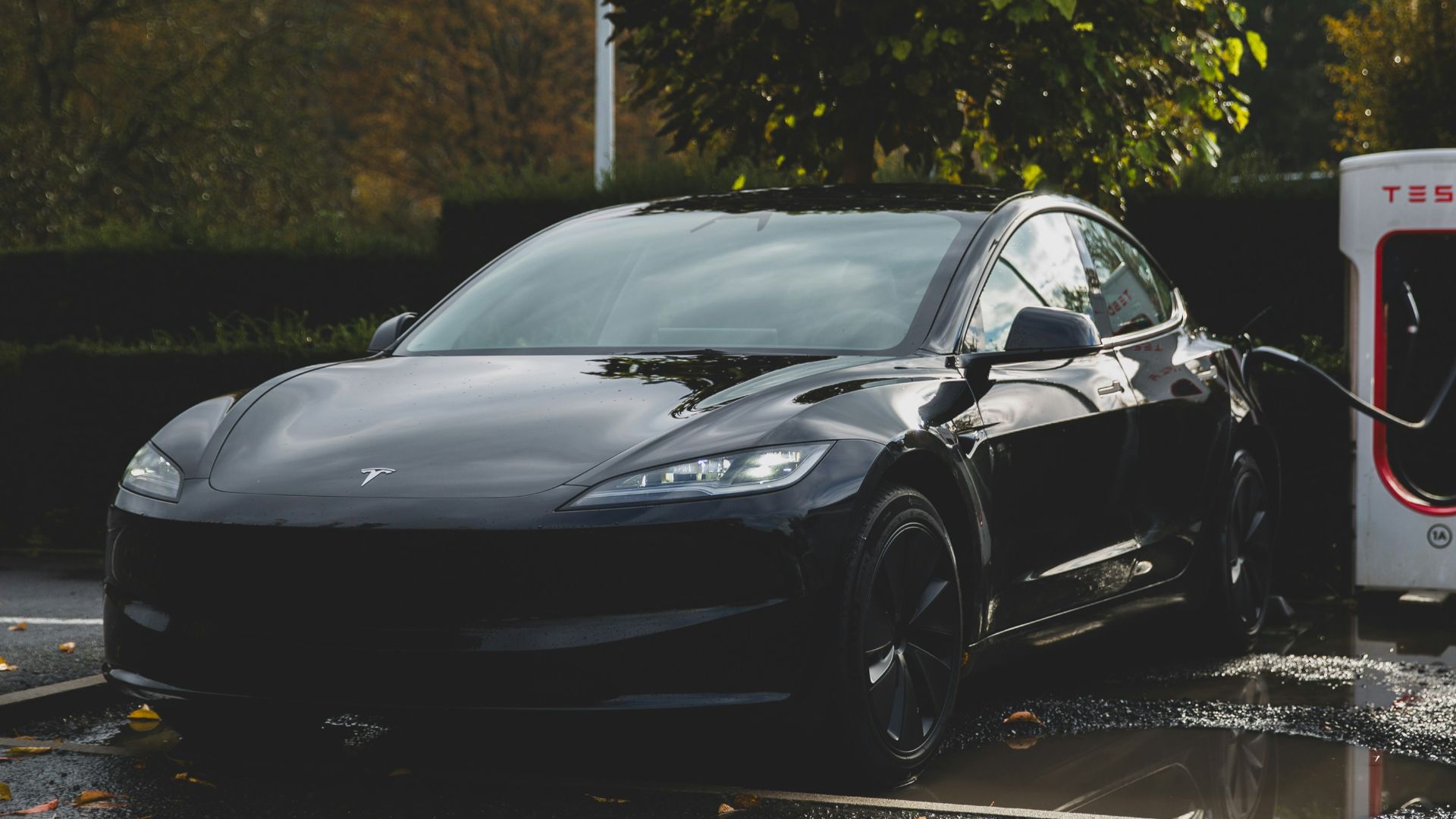 16. Tesla Model 3