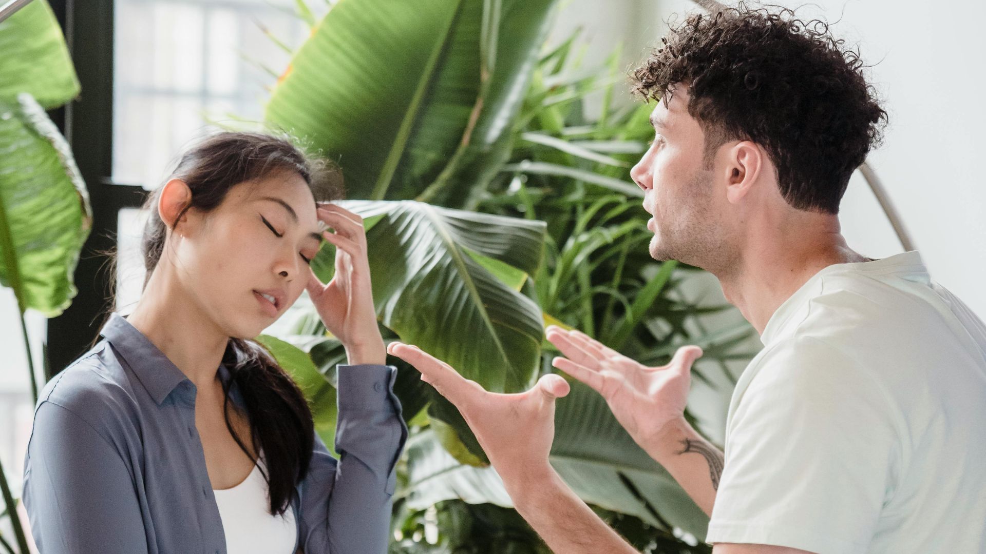 6. Obligation d'obtenir une autorisation pour les plans