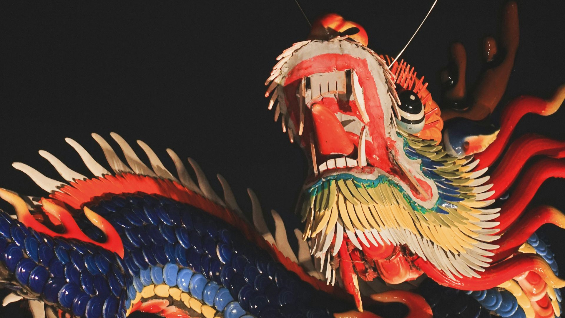 9. La culture humaine explique déjà mieux ce phénomène