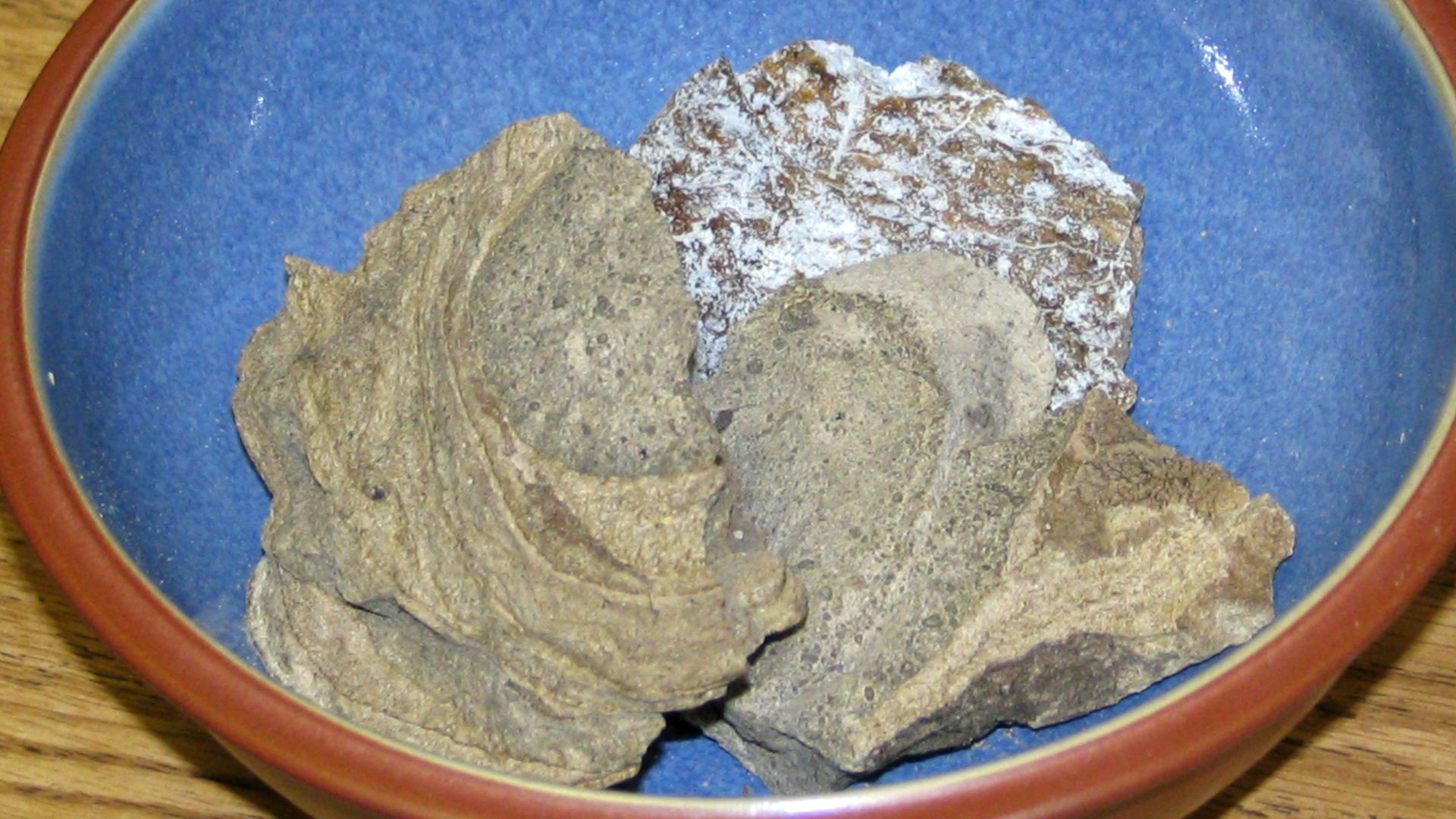 15. Glace à l'ambre gris