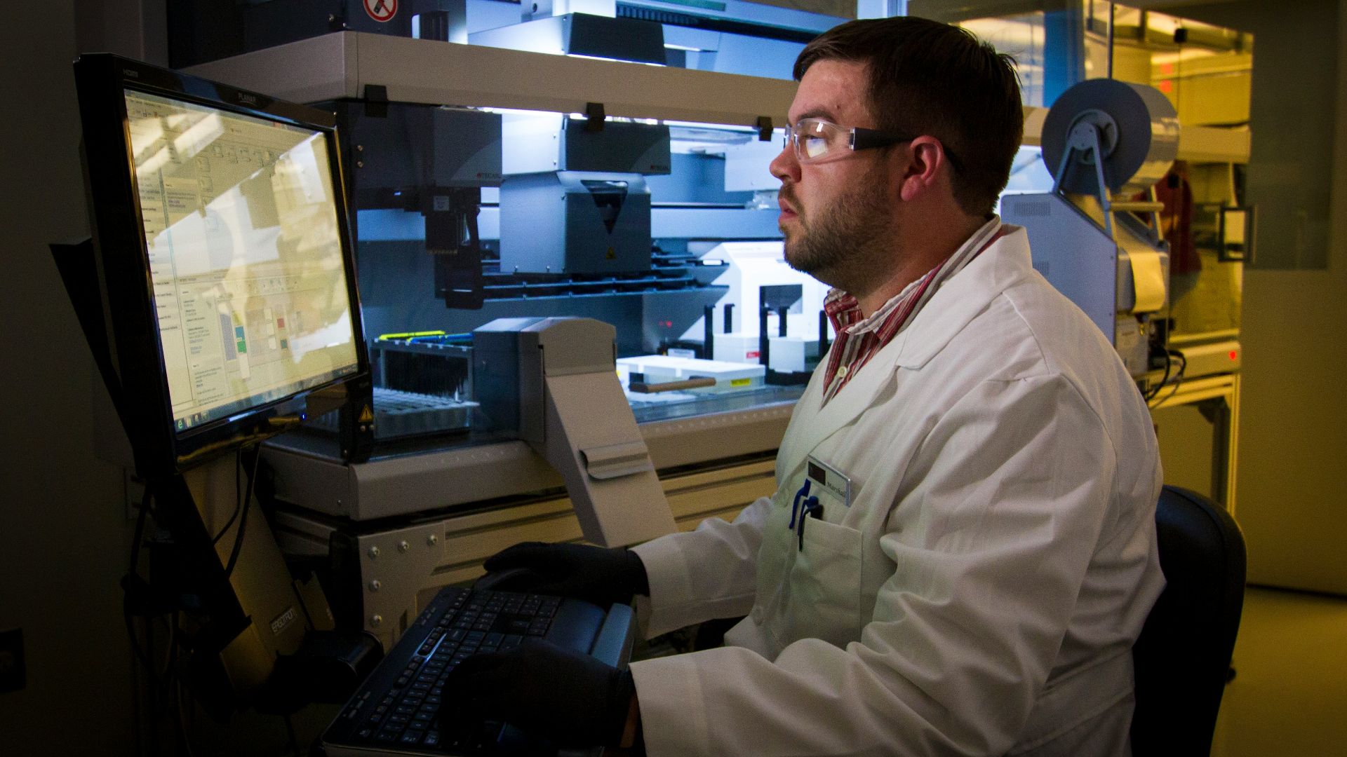 3. Les souris peintes de William Summerlin