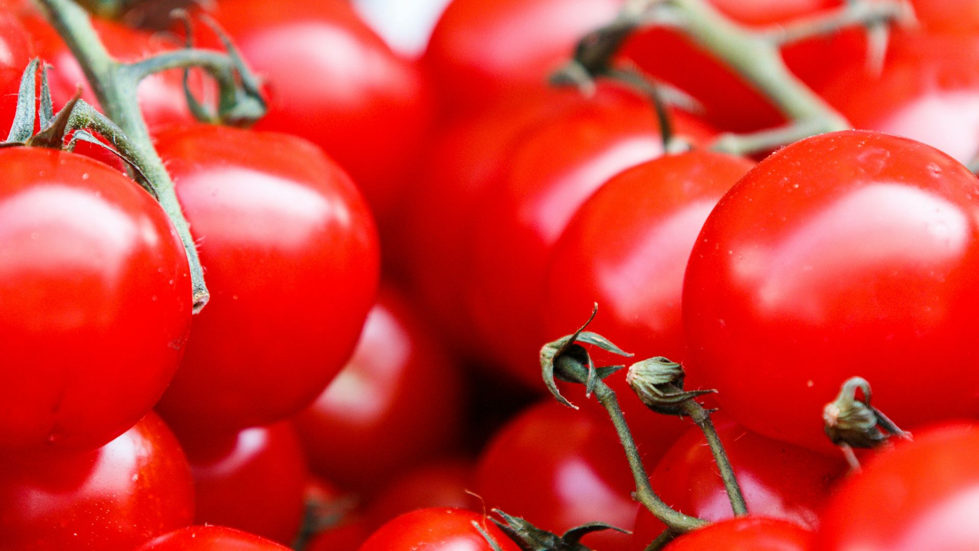6. Ketchup bio Mother Raw