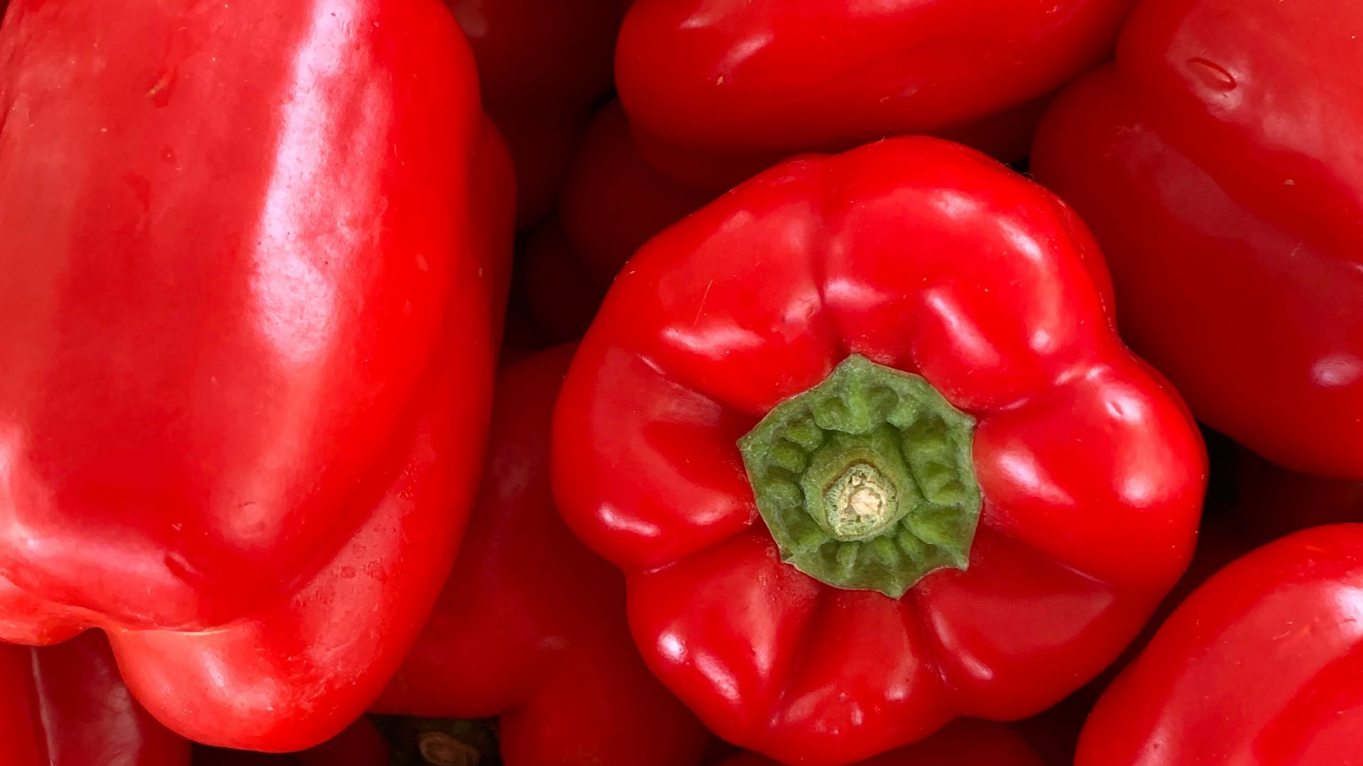 11. Les poivrons rouges sont éclatants