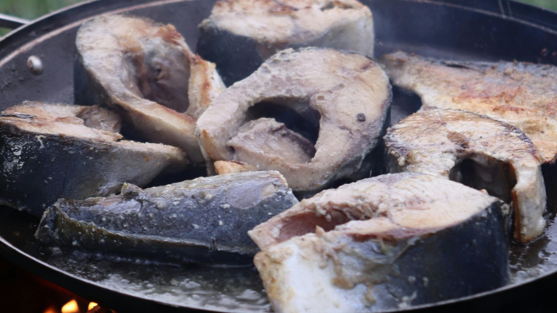 8. Poisson