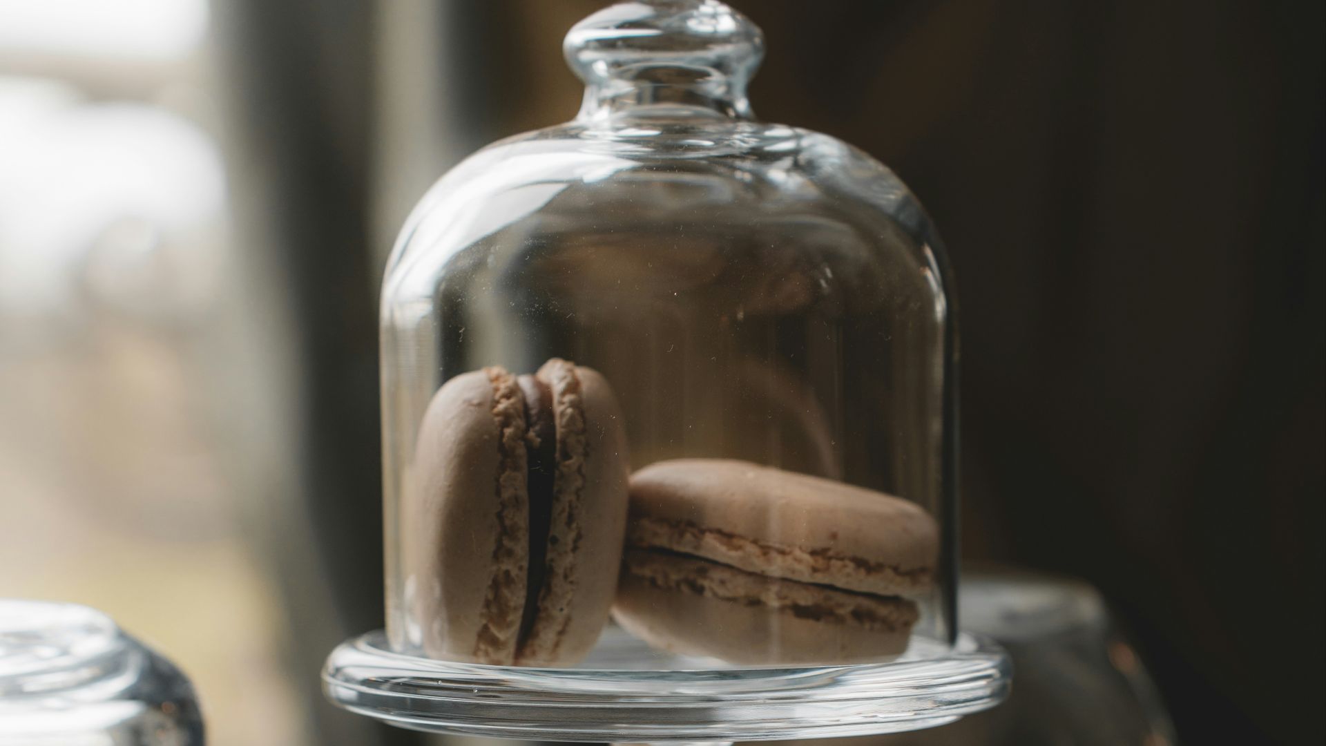 17. Présentoirs sous cloche en verre
