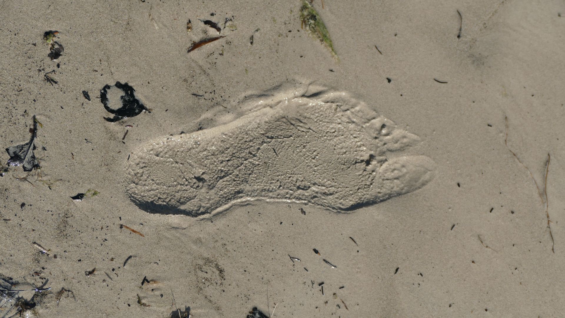 11. Les traces de la coexistence au Kenya