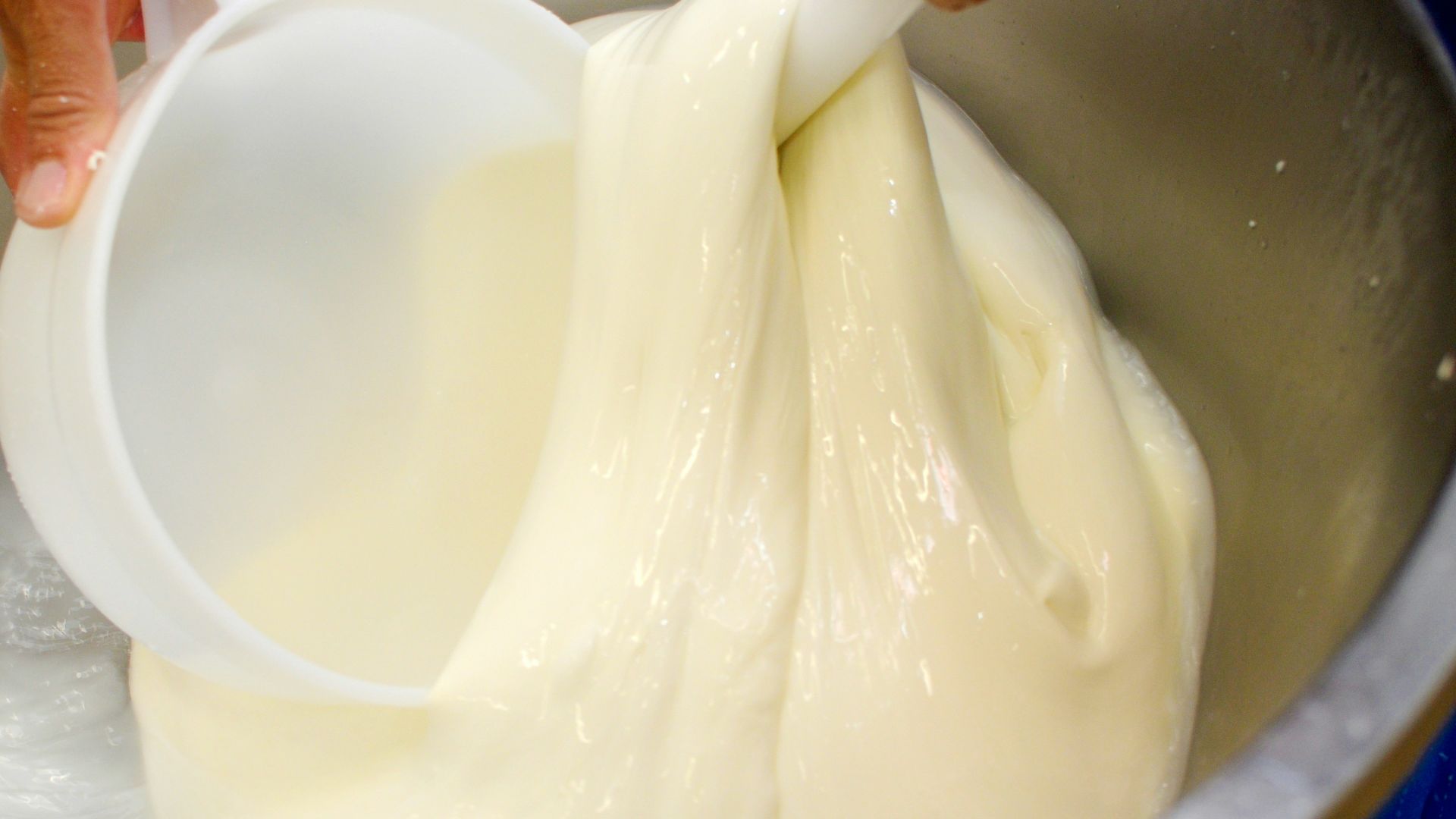 2. Mozzarella crémeuse à faible teneur en eau