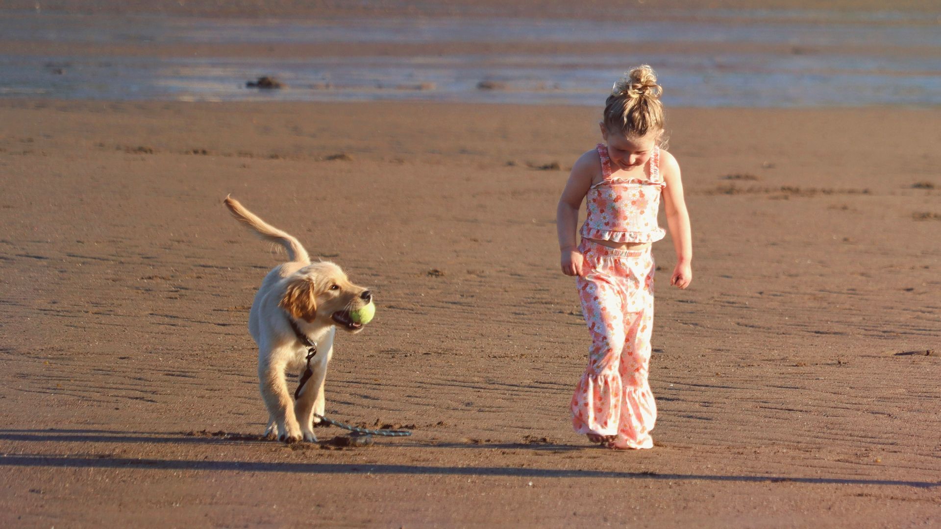 17. Allez à la plage ou au lac le plus proche