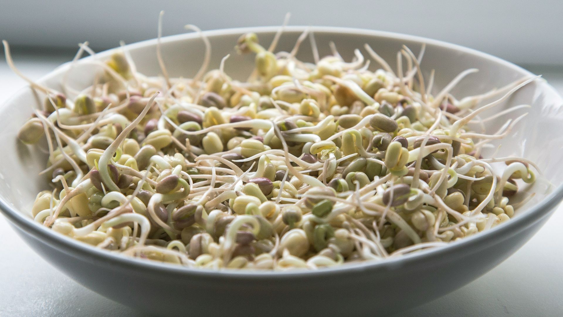 16. Des pousses crues dans les sandwichs