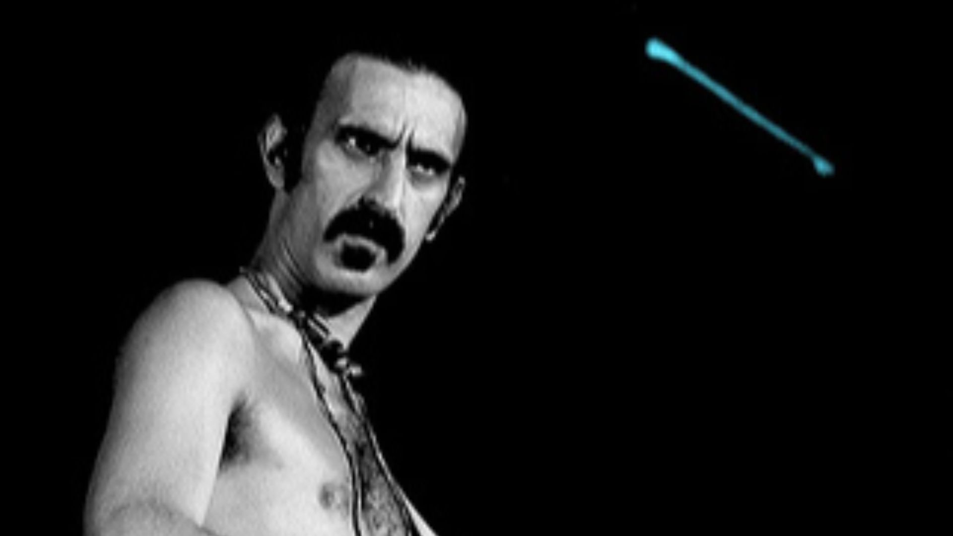 13. Frank Zappa