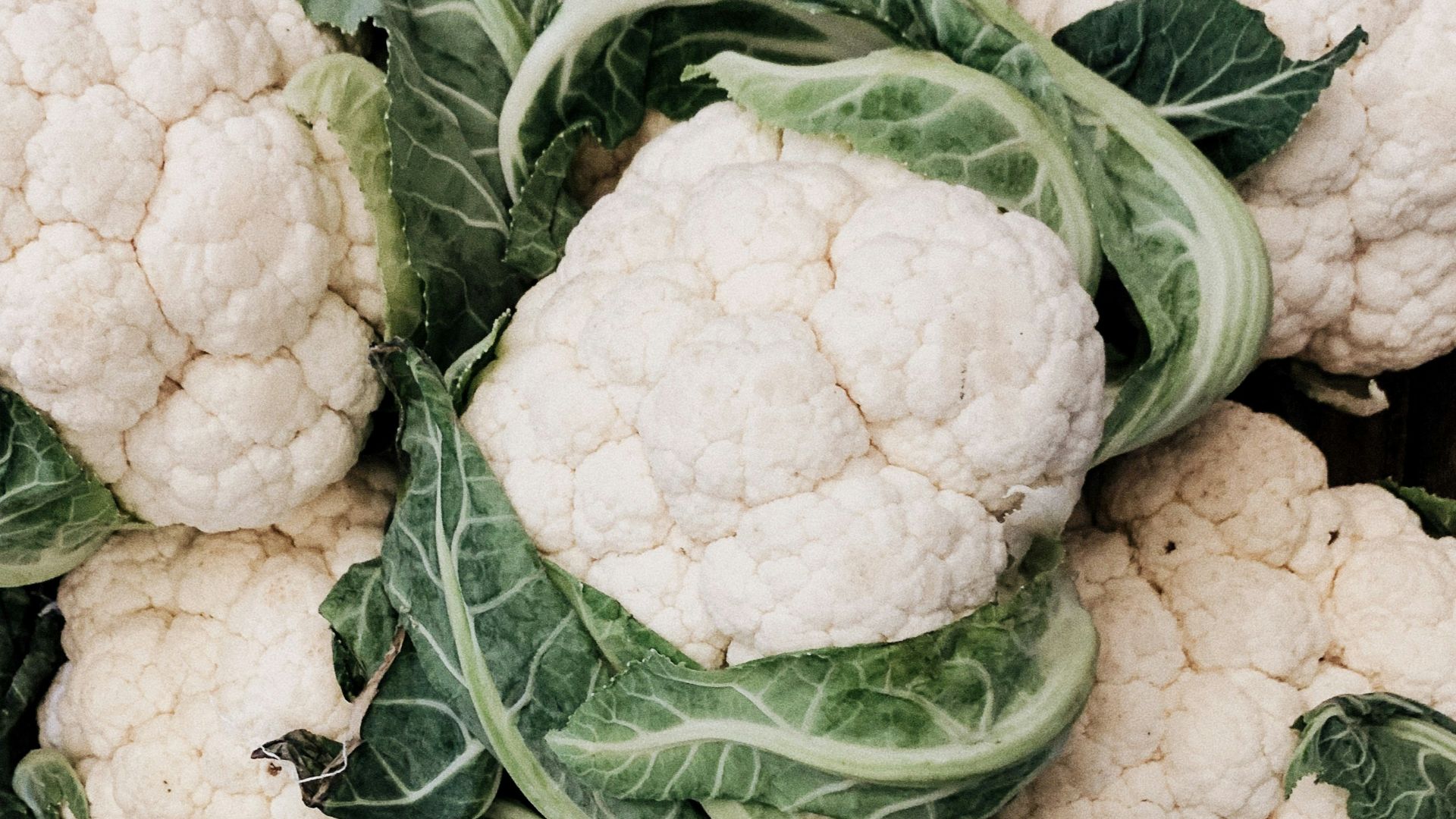 1. Le chou-fleur : un aliment polyvalent et incontournable