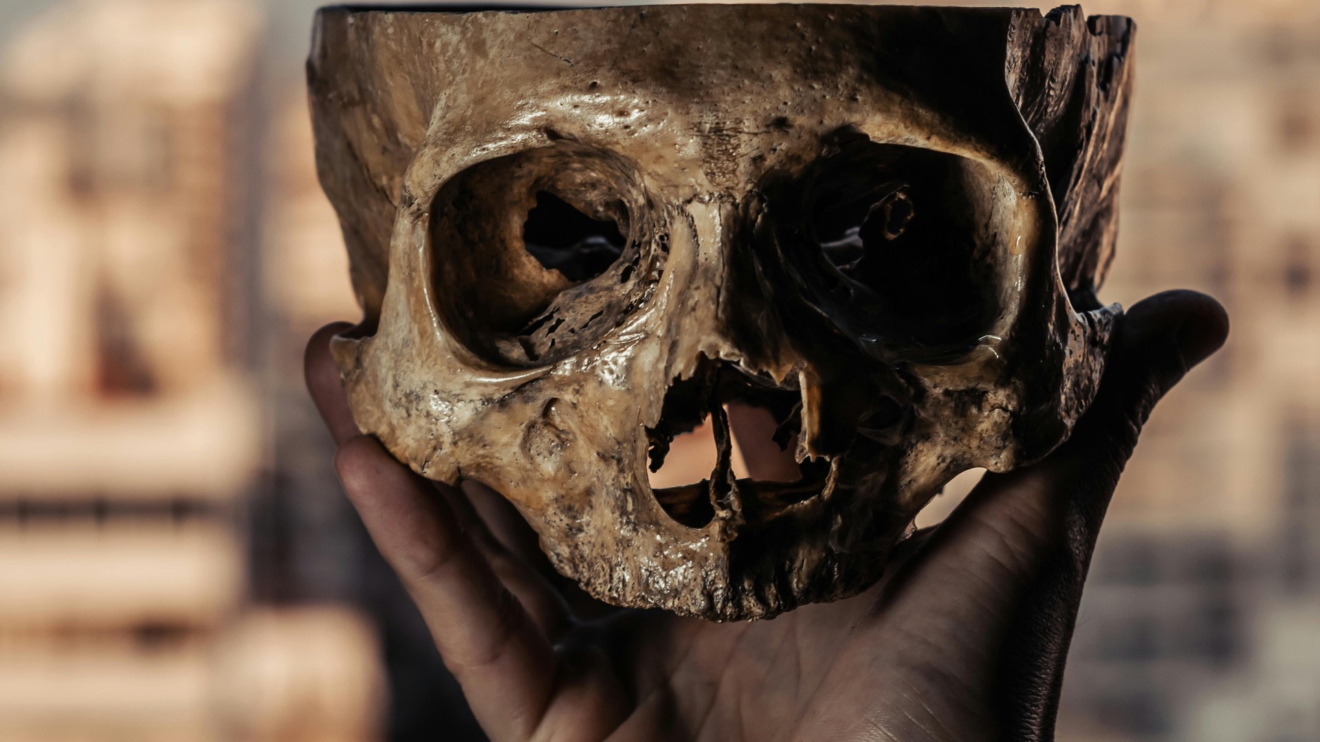 15. L'histoire de la vie de Vittrup Man s'est précisée