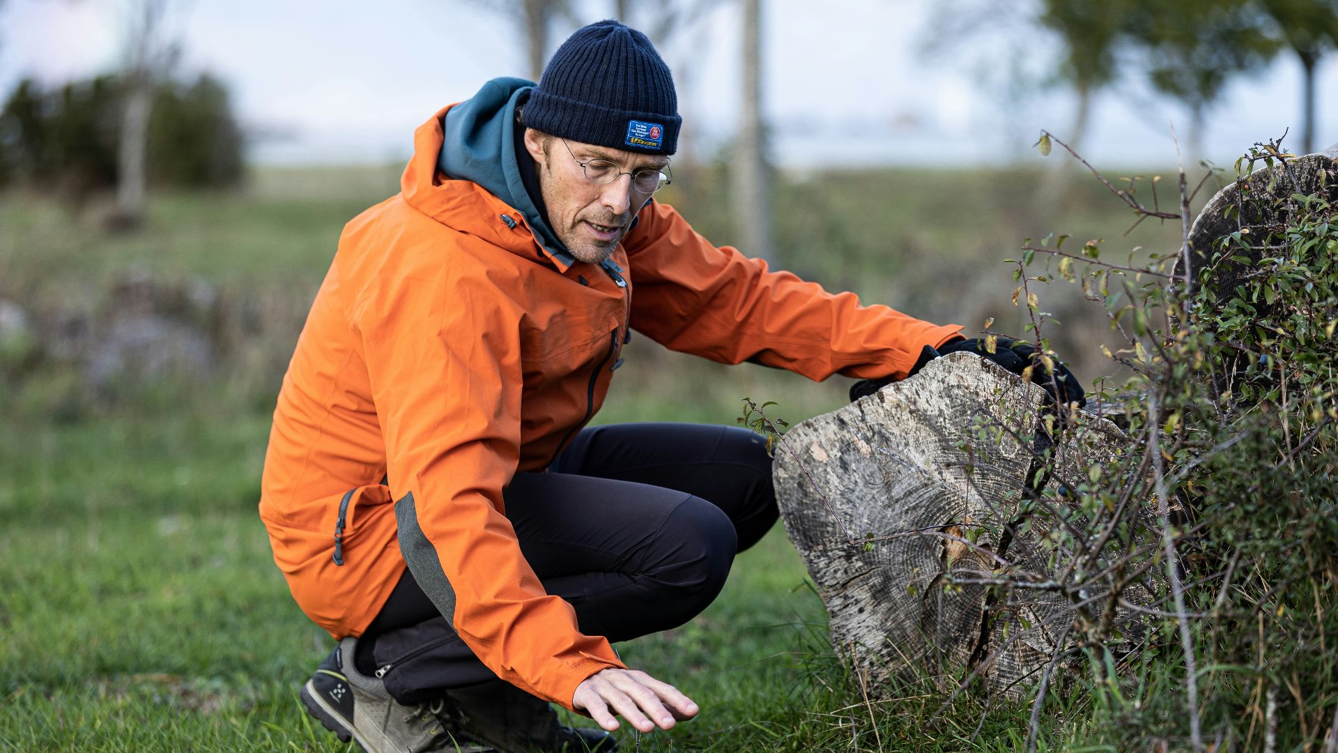 11. Les travaux de Marc Hauser sur la cognition chez les primates