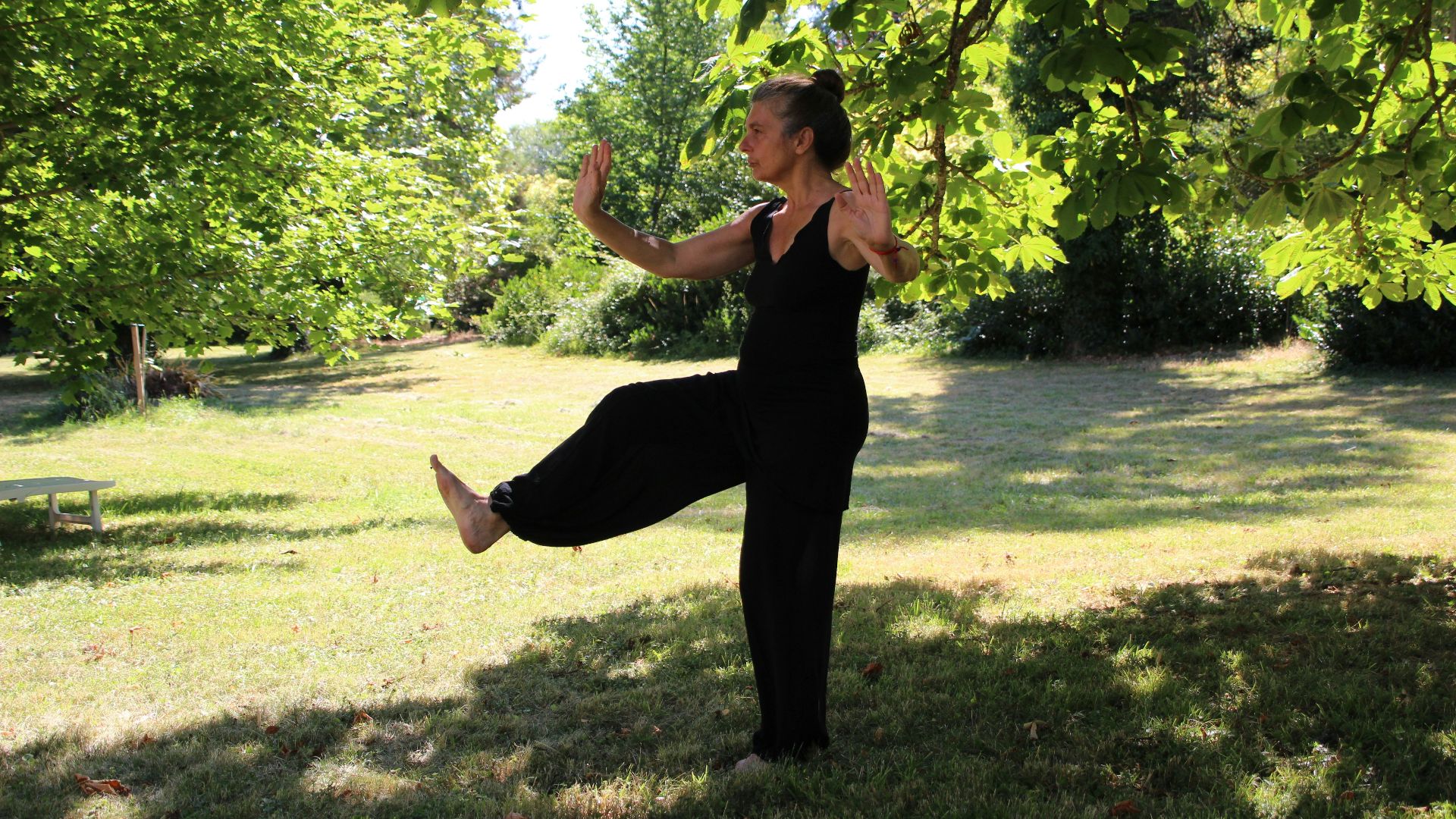 20. Transfert de poids lent inspiré du tai-chi