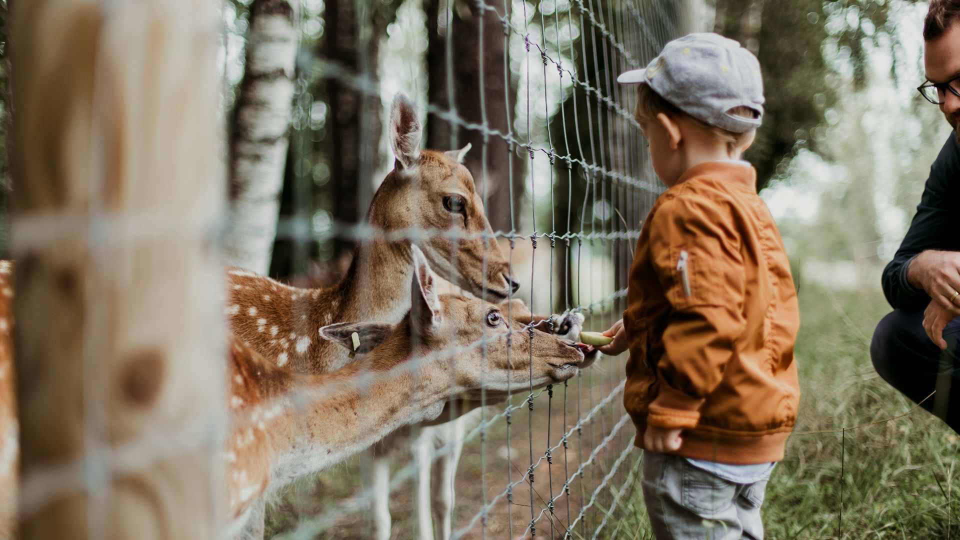13. Visite d'un zoo pour enfants ou d'une ferme