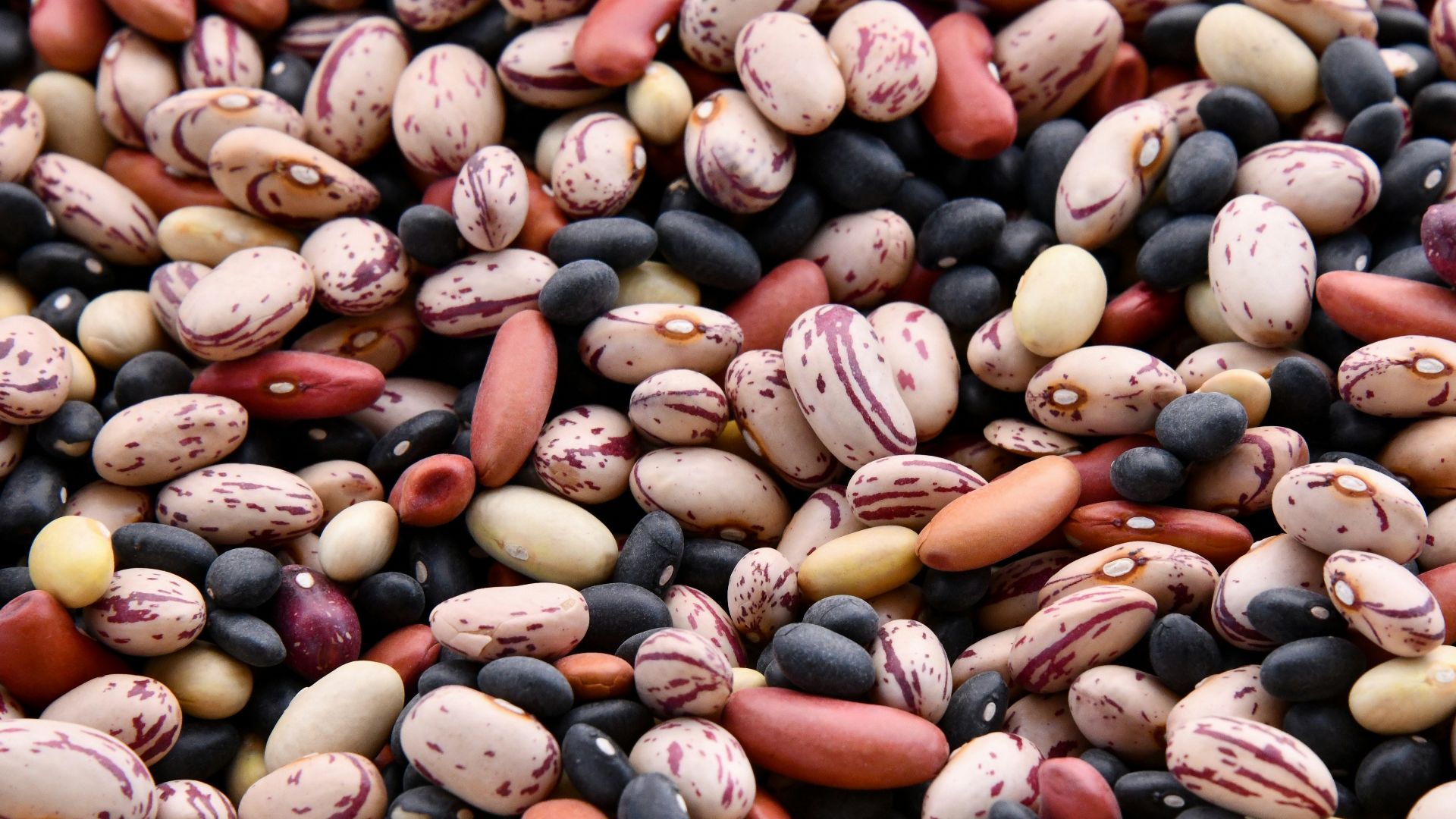 8. Haricots et légumineuses pour la santé cardiaque