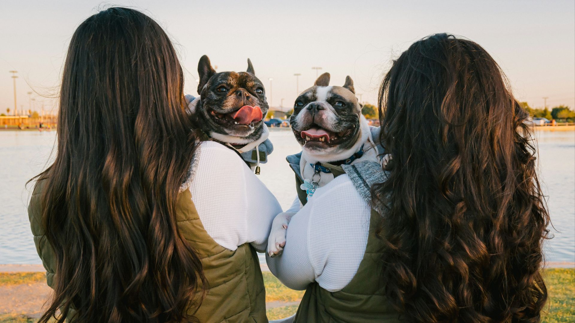 16. La photo de l'animal au bon moment