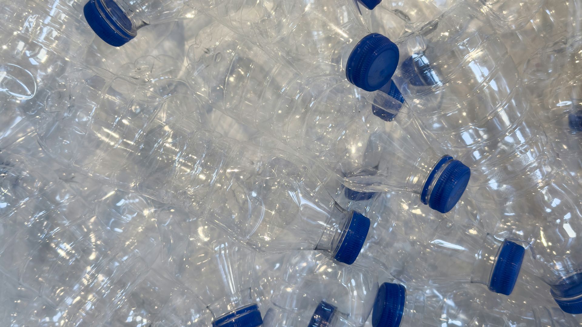 1. Une collection de bouteilles d'eau vides