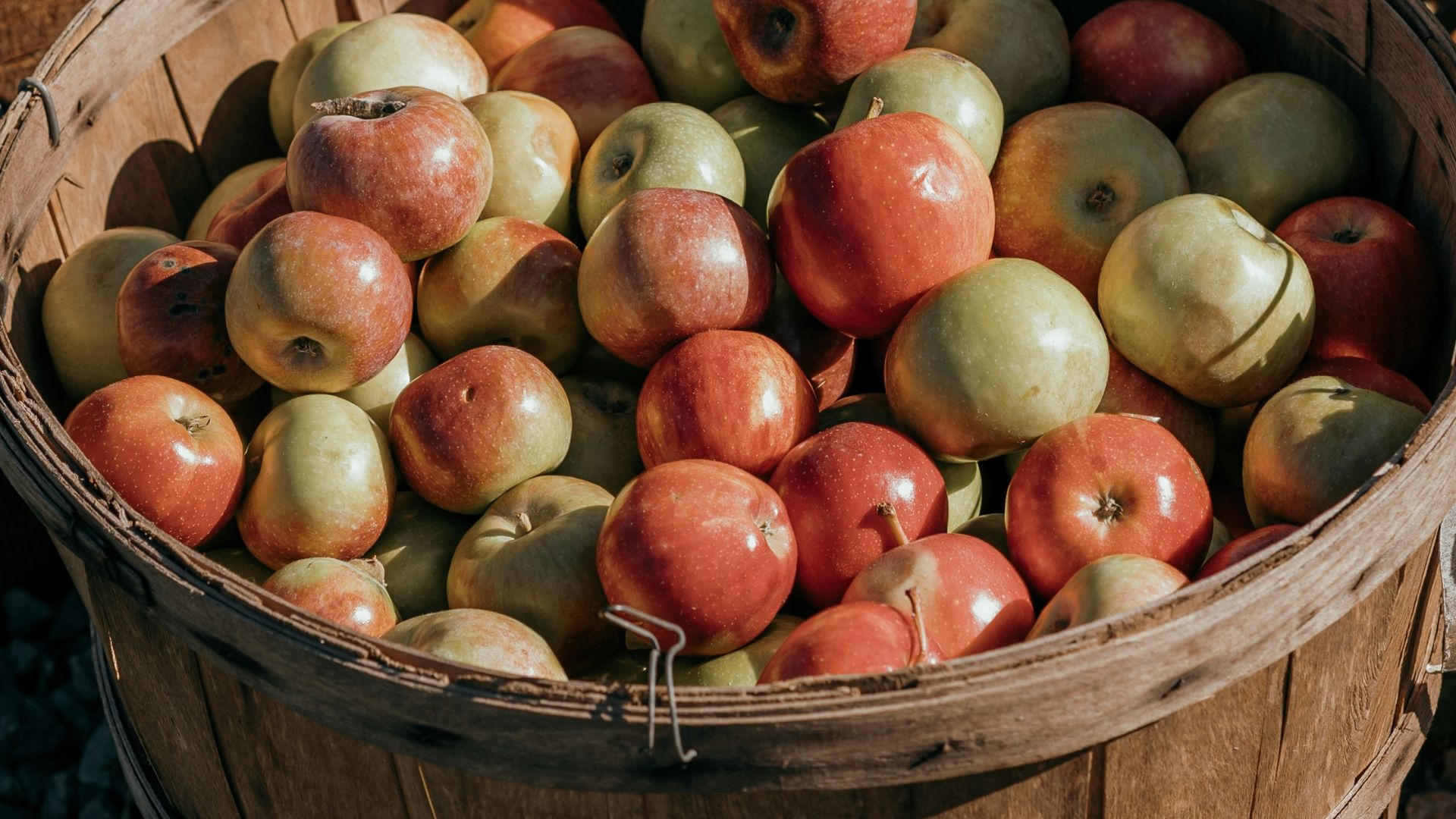 14. Cidre médiéval à l'hysope