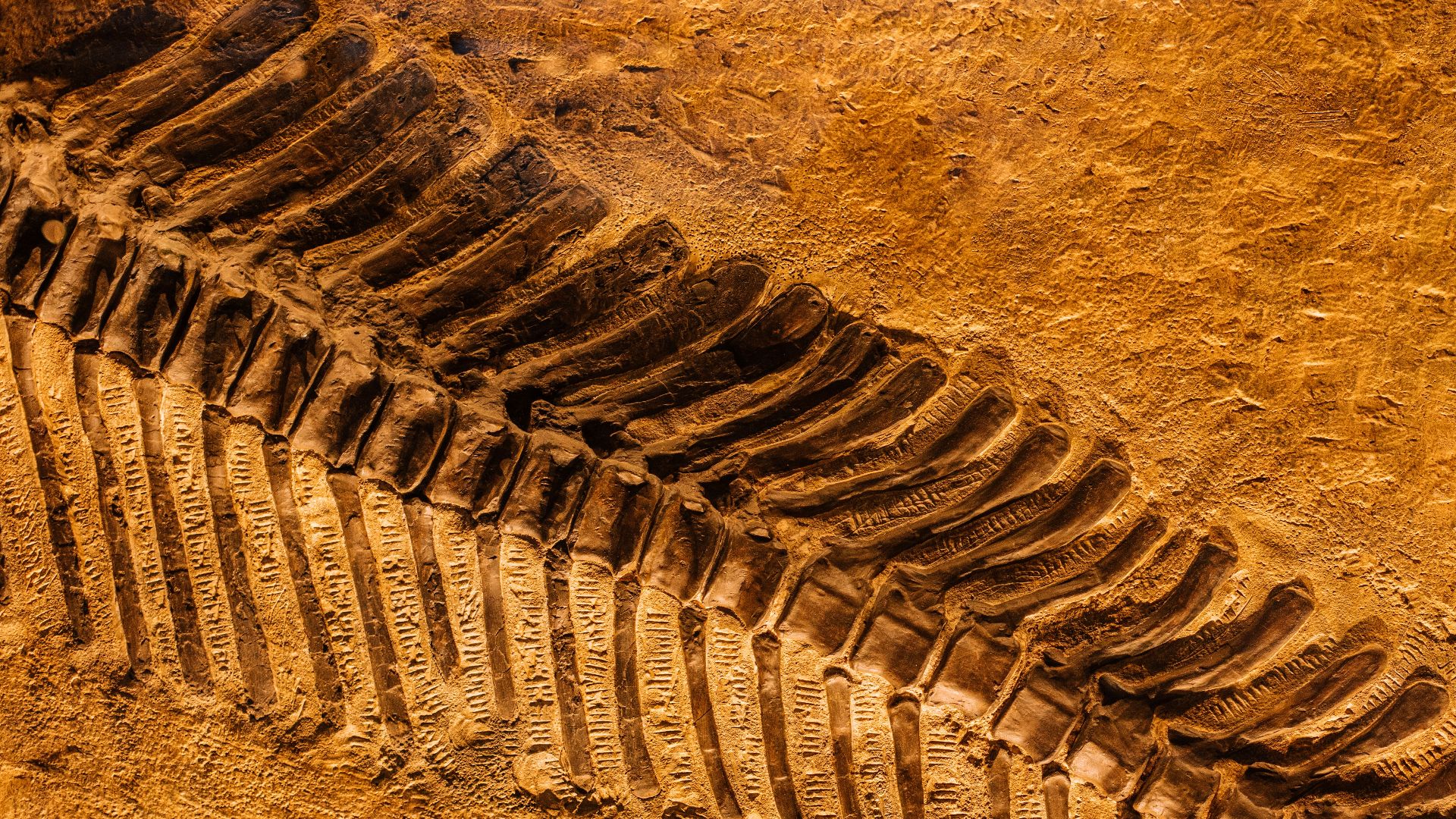 3. Les mammifères chassaient les dinosaures