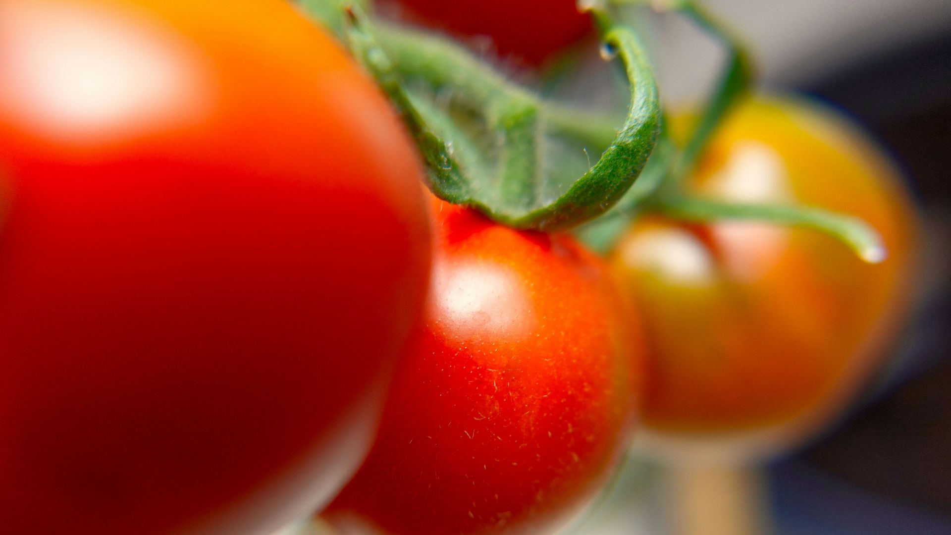 7. Rouge tomate