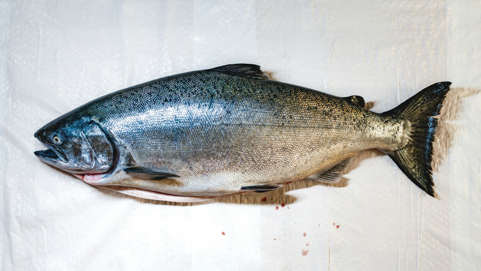 20. Poisson