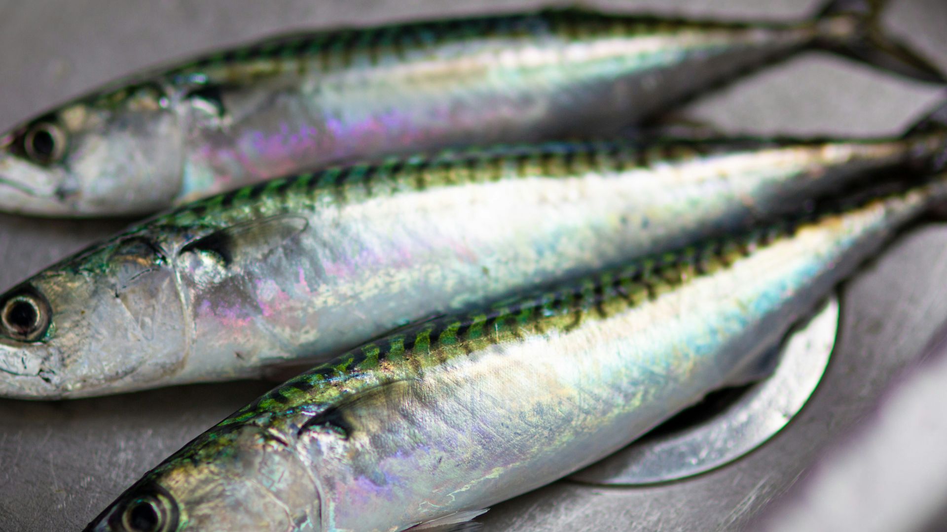 9. Sardines