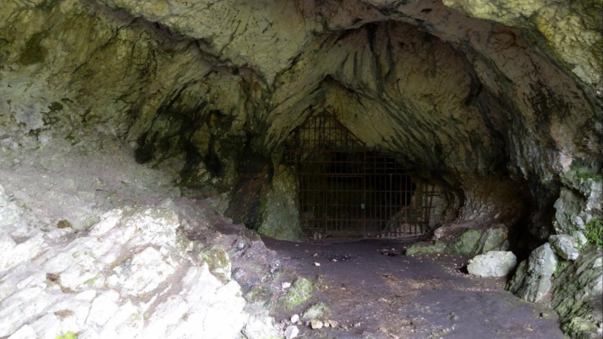 11. Sculptures en ivoire de mammouth de l'époque glaciaire