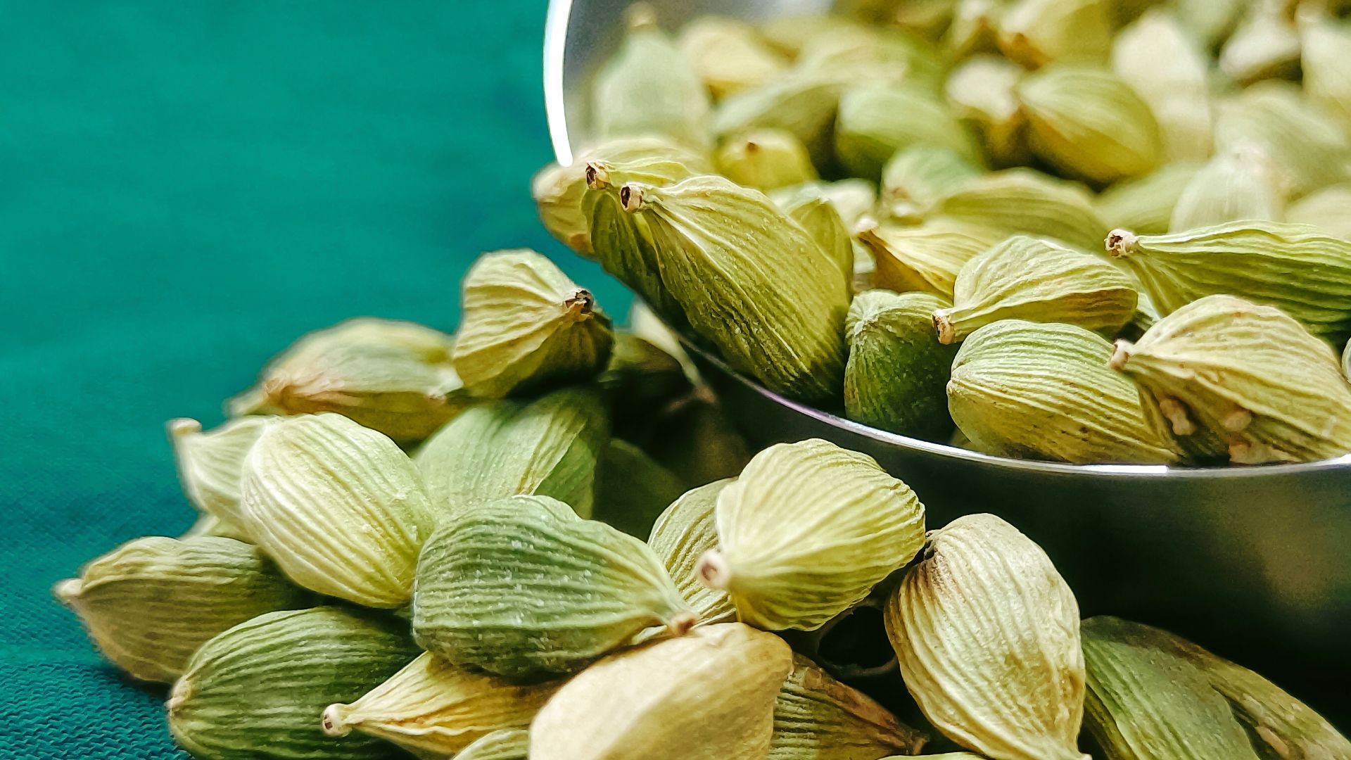 17. Cardamome