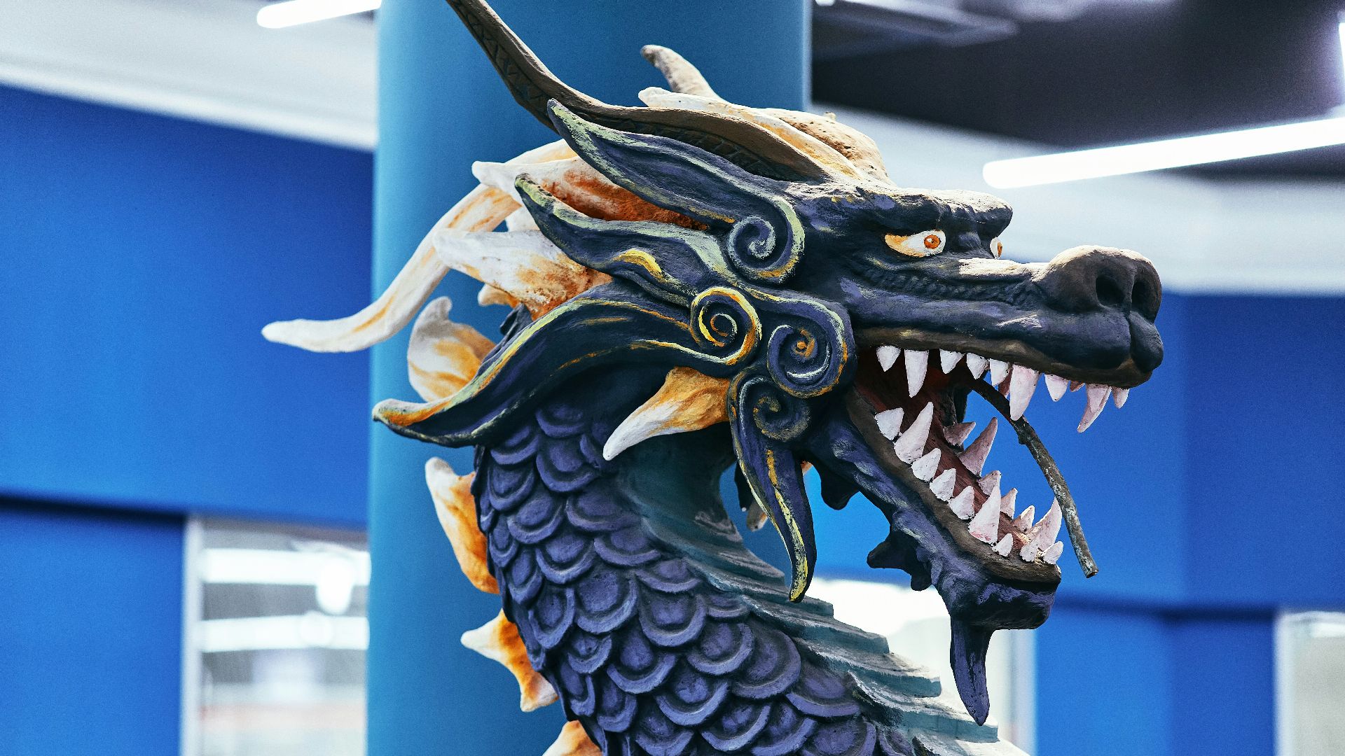 5. Il n'y a aucune empreinte écologique