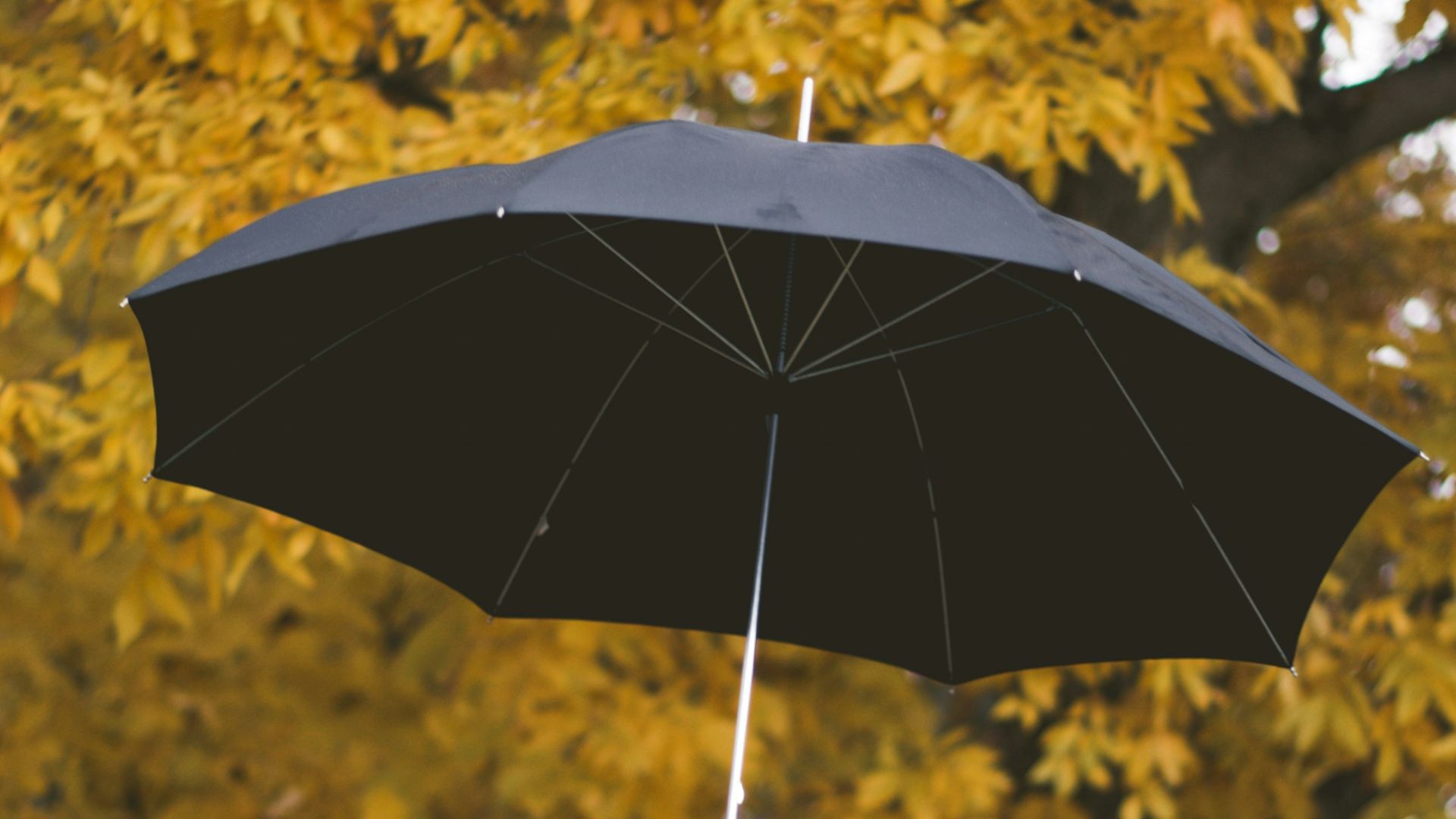 16. Emportez un parapluie élégant