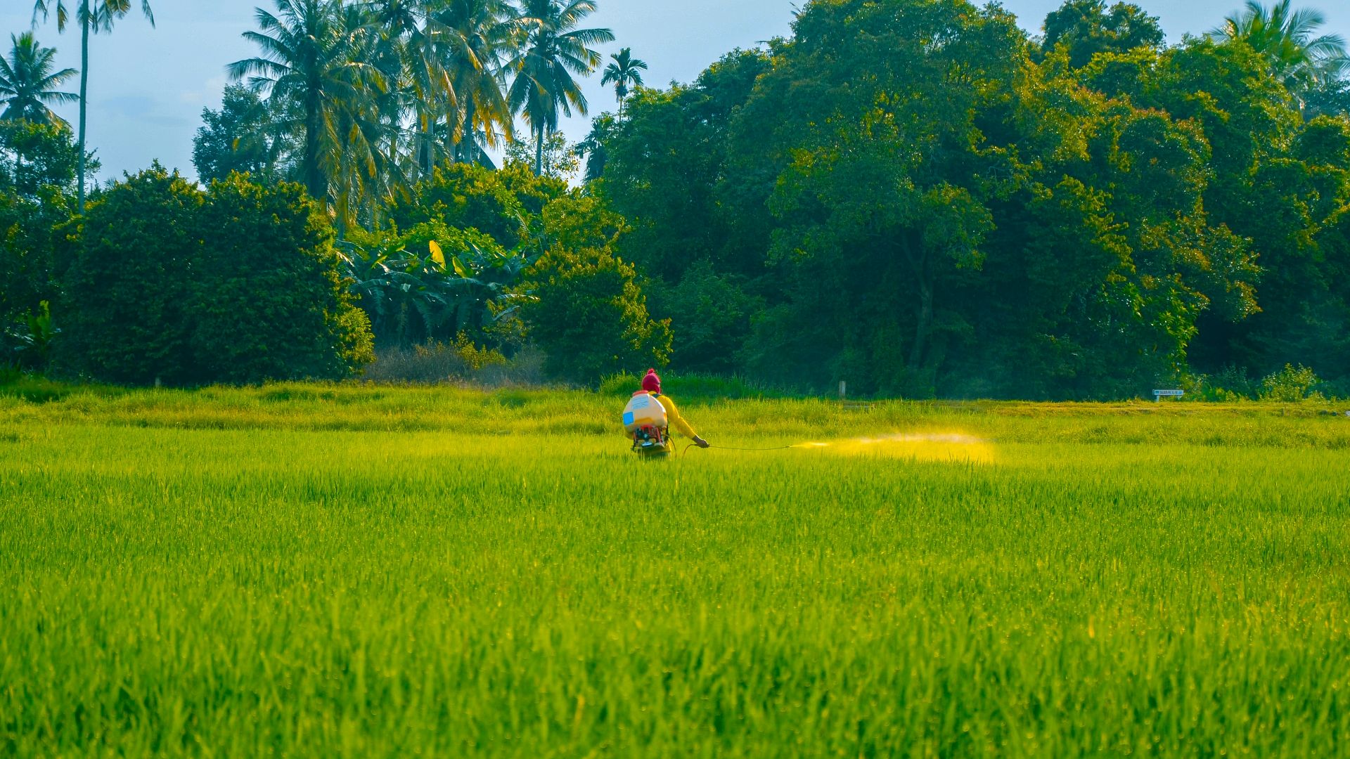 15. La tragédie de Bhopal