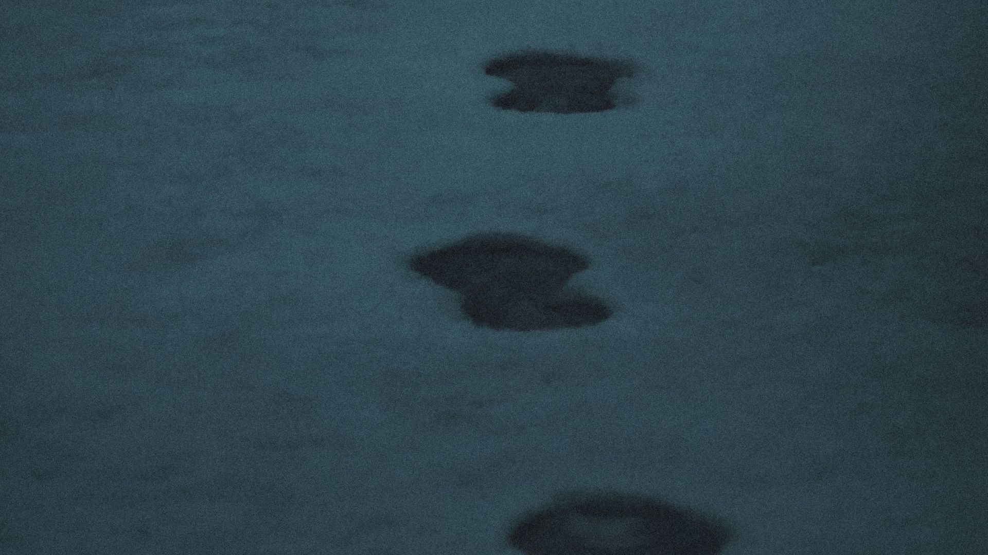 2. Le dernier message d'Henry McCabe