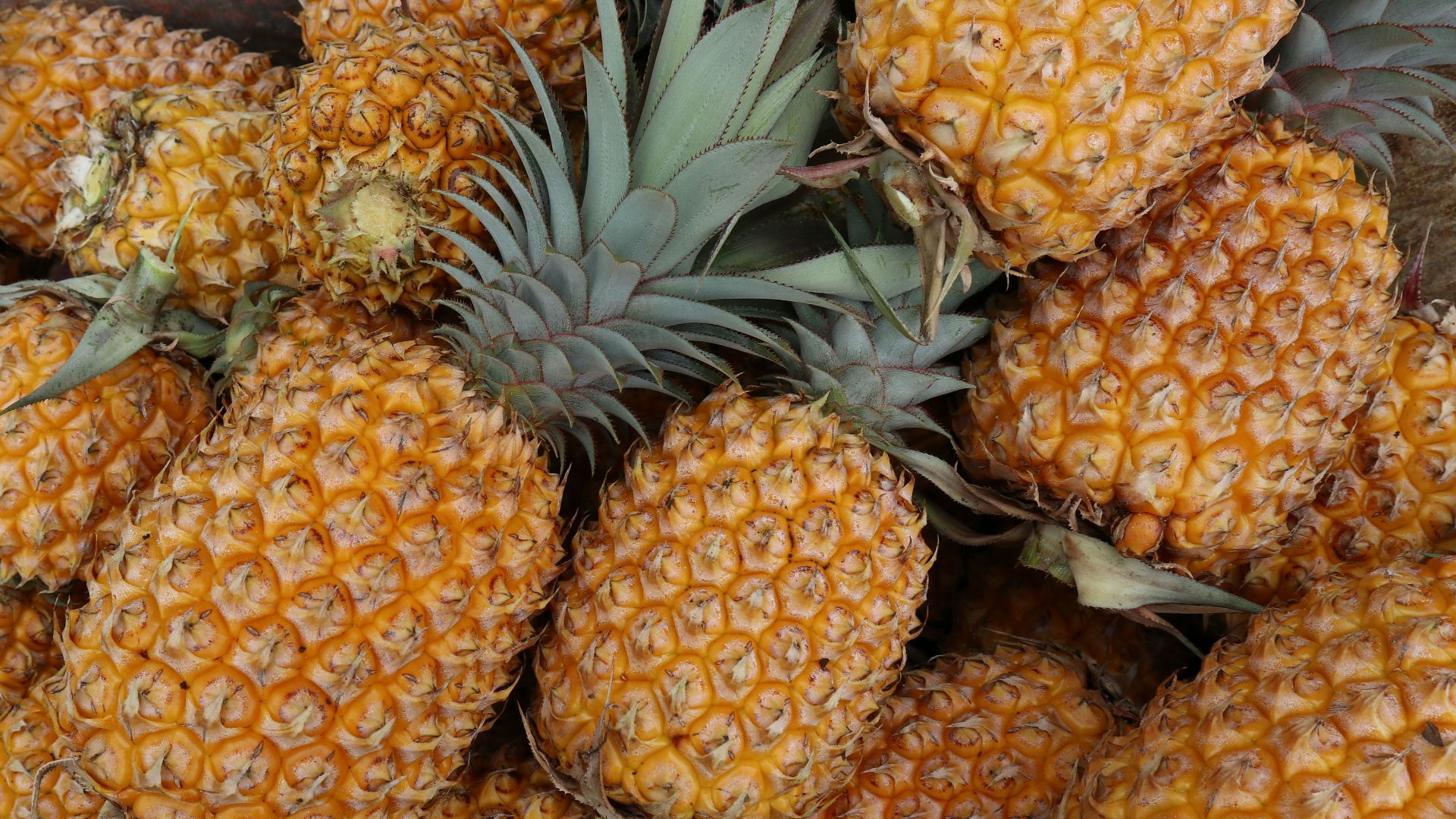 4. Ananas Pinkglow