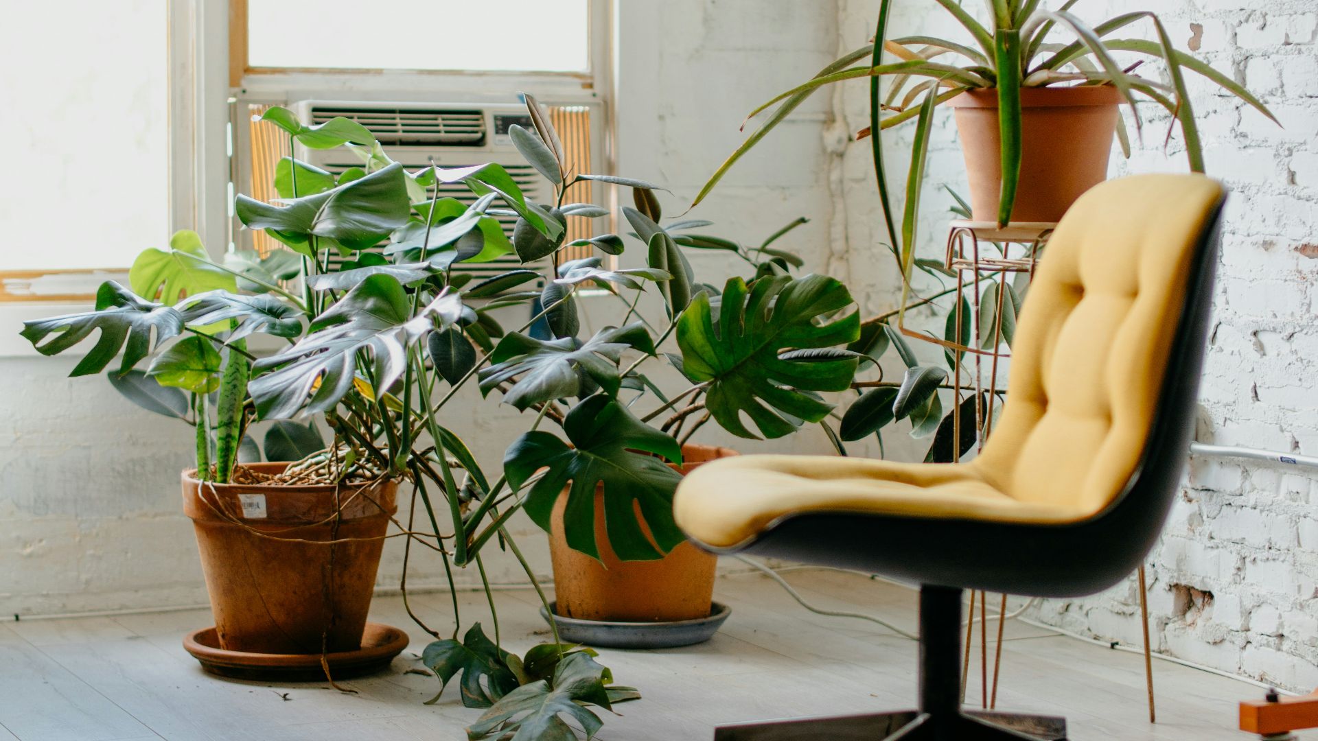 13. Ils donnent aux petites pièces un aspect soigné