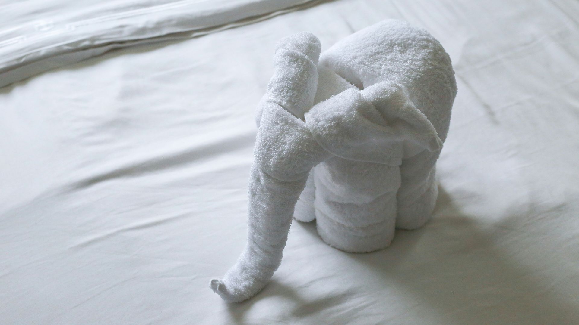 14. Les serviettes roulées comme à l'hôtel : personne ne peut y toucher