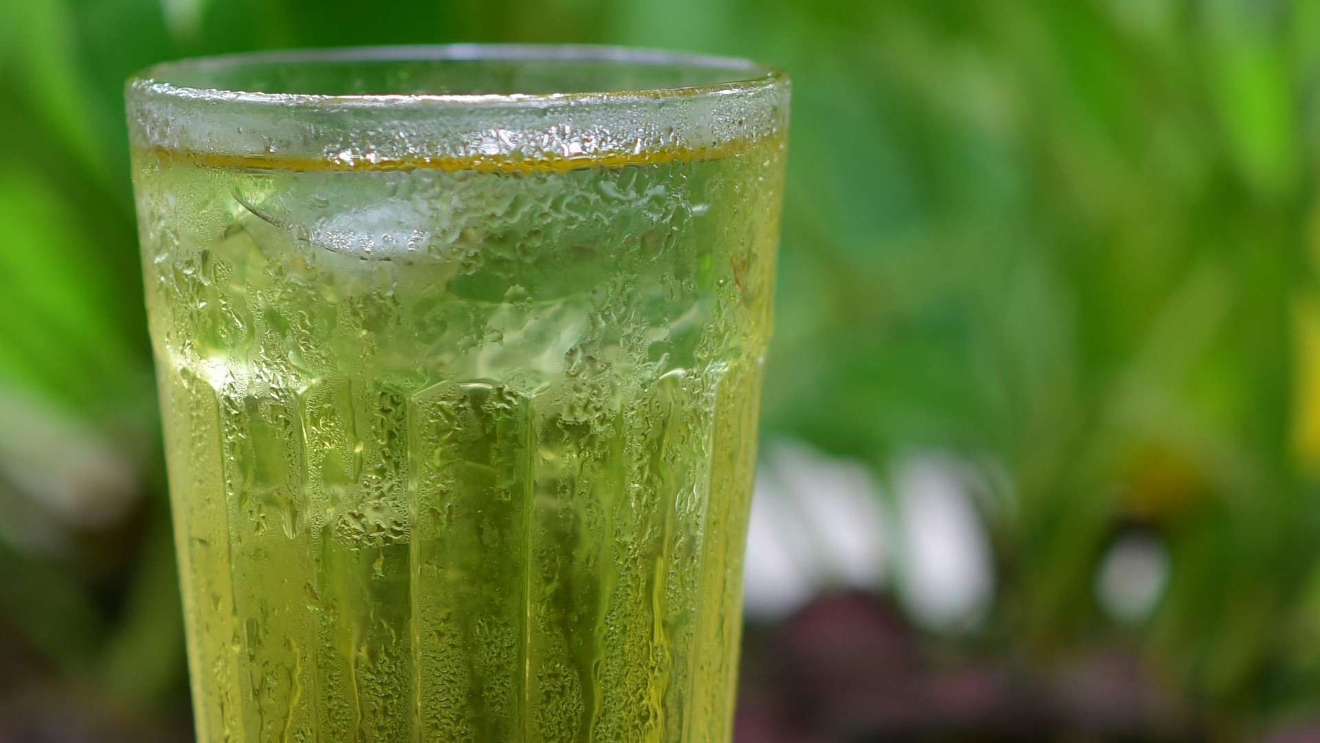 5. Thé vert glacé non sucré, grand format
