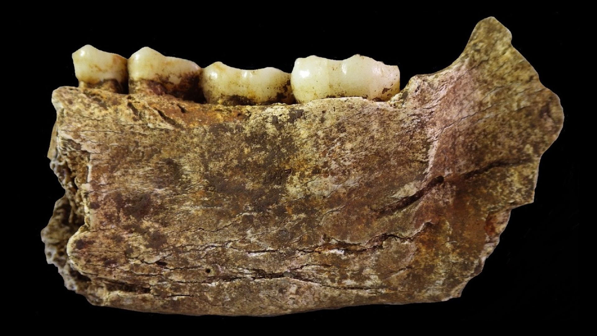 3. La grotte Rising Star, Afrique du Sud